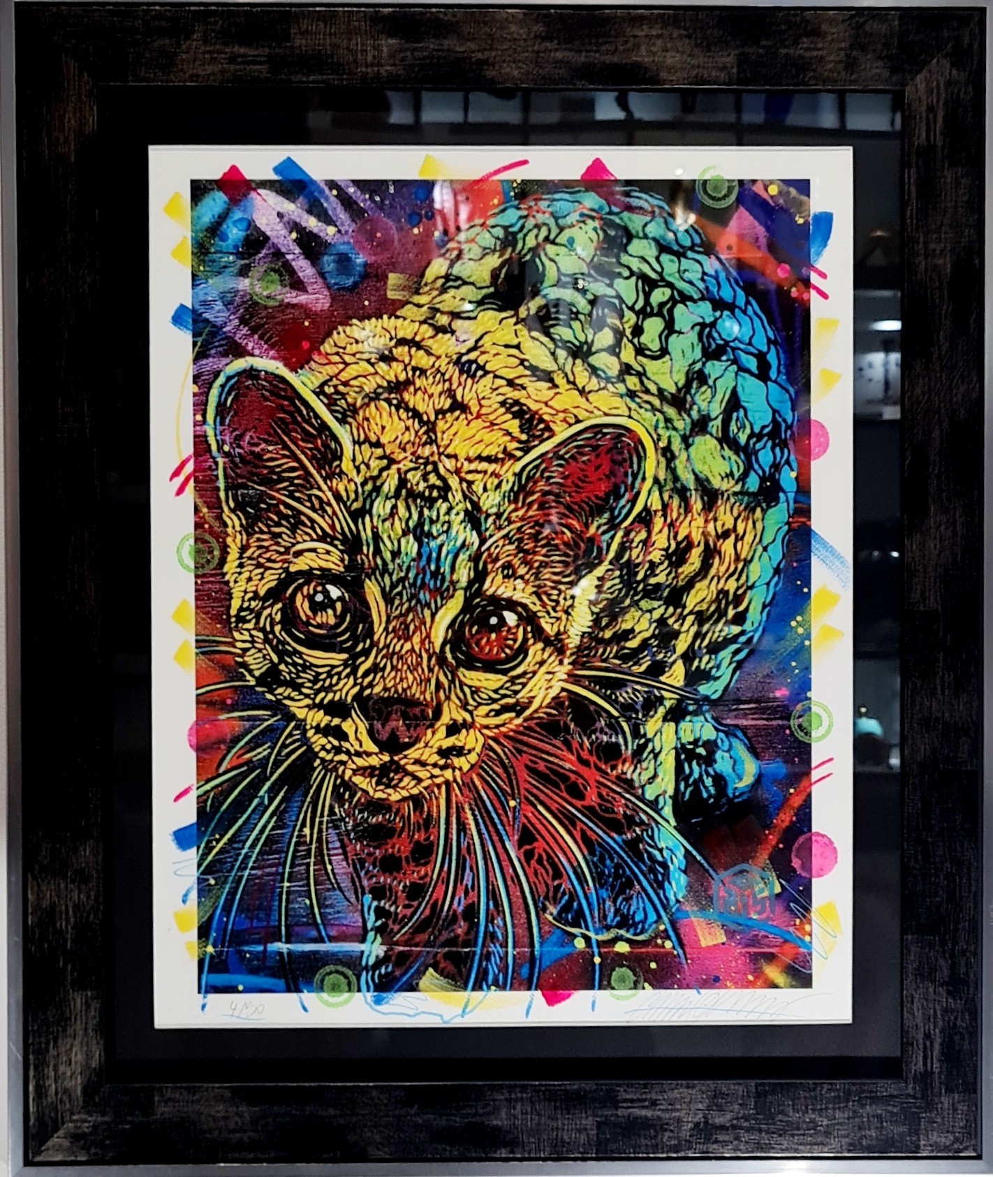 C215, Margay (Réhaussée) C215, Margay (Réhaussée)