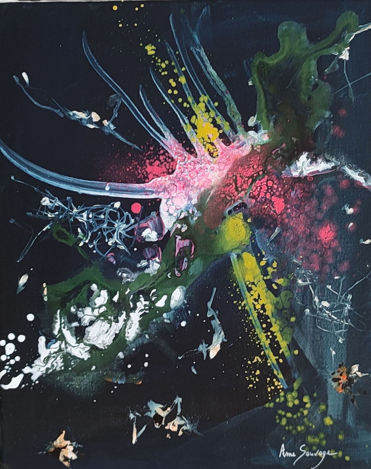 Âme Sauvage, Pieuvre galactique Âme Sauvage, Pieuvre galactique