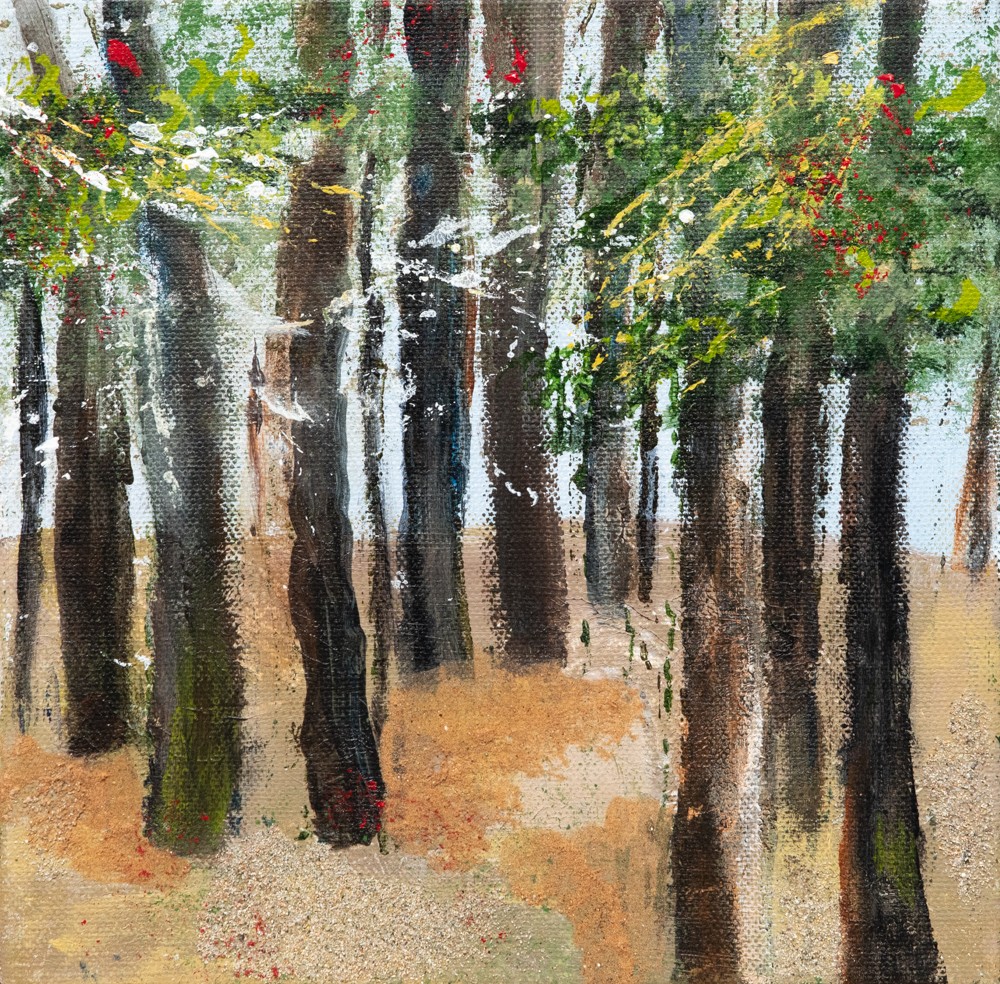 Anne-Marie Renno, Forêt - série Paysage et Nature Anne-Marie Renno, Forêt - série Paysage et Nature