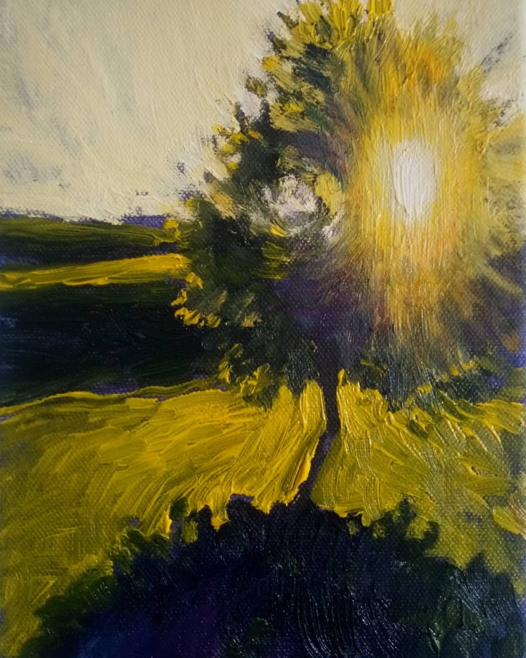Mauro Tròlese, Albero al tramonto Mauro Tròlese, Albero al tramonto