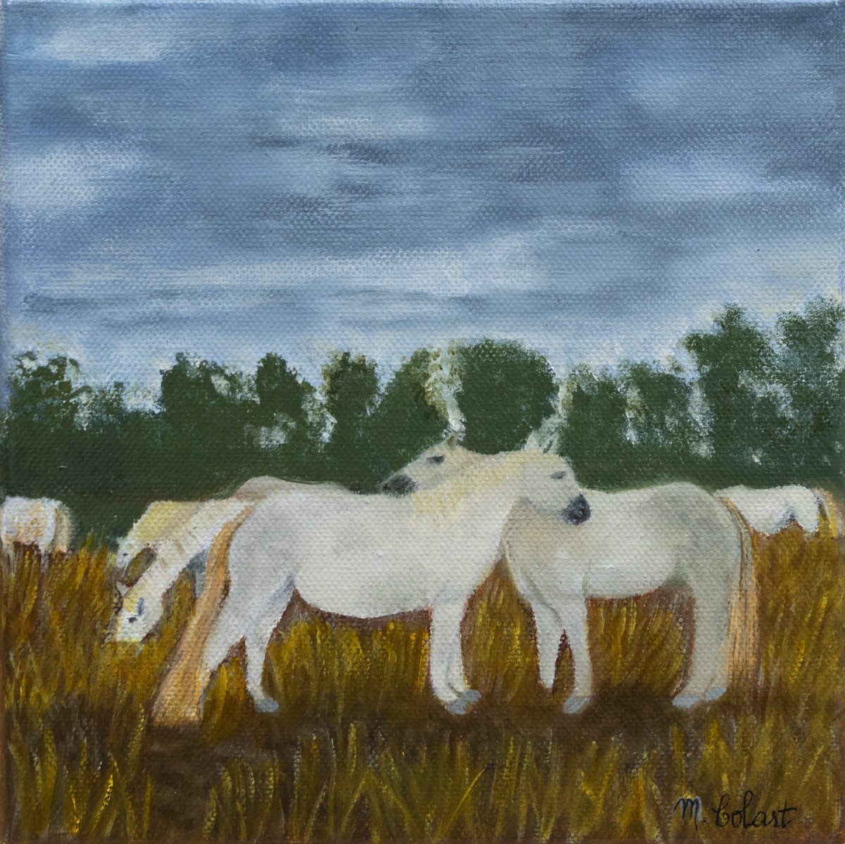 Myriam Colart, Moment de tendresse - série Chevaux et Paysage de Camargue Myriam Colart, Moment de tendresse - série Chevaux et Paysage de Camargue