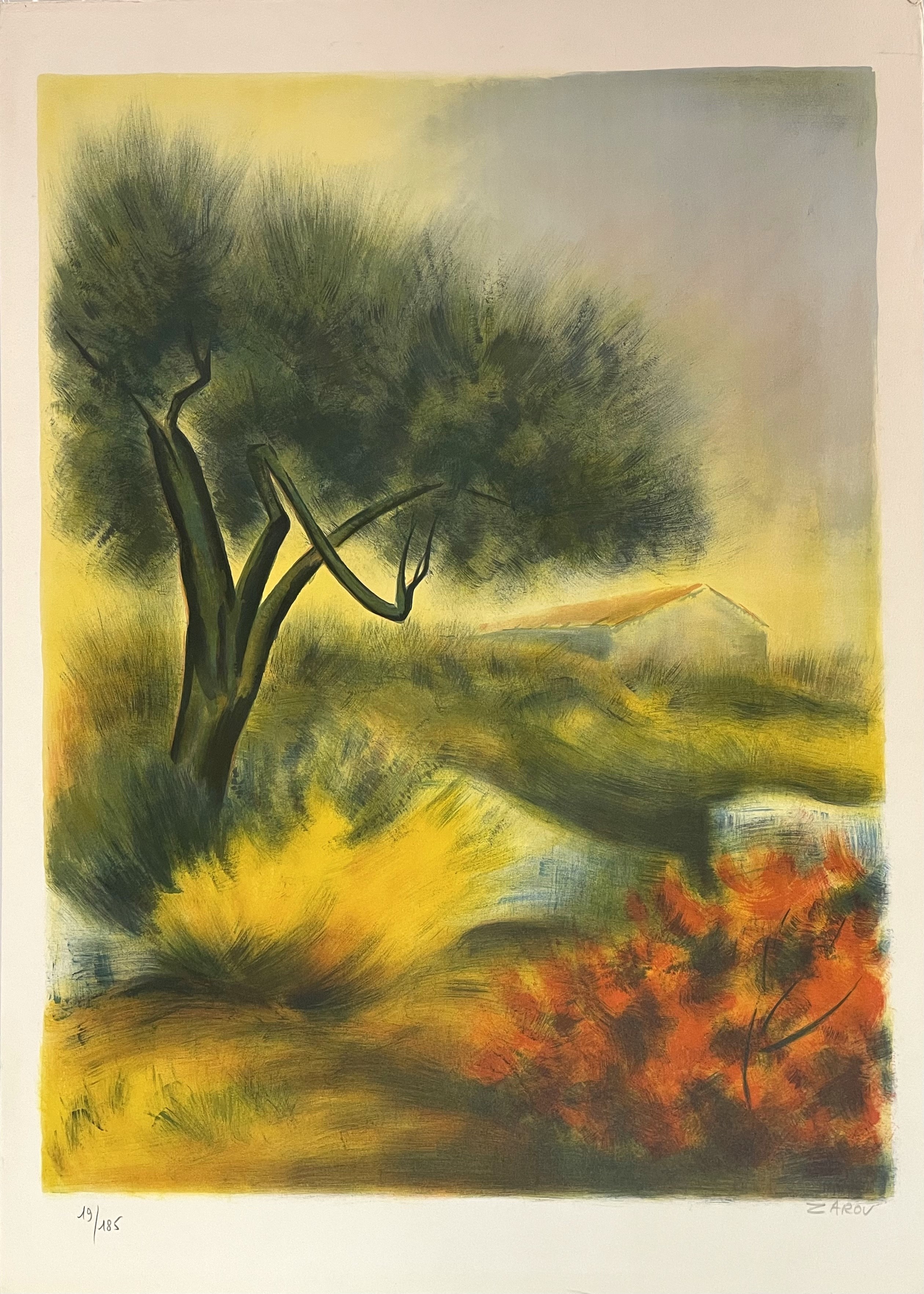 Zarou, Paysage Zarou, Paysage