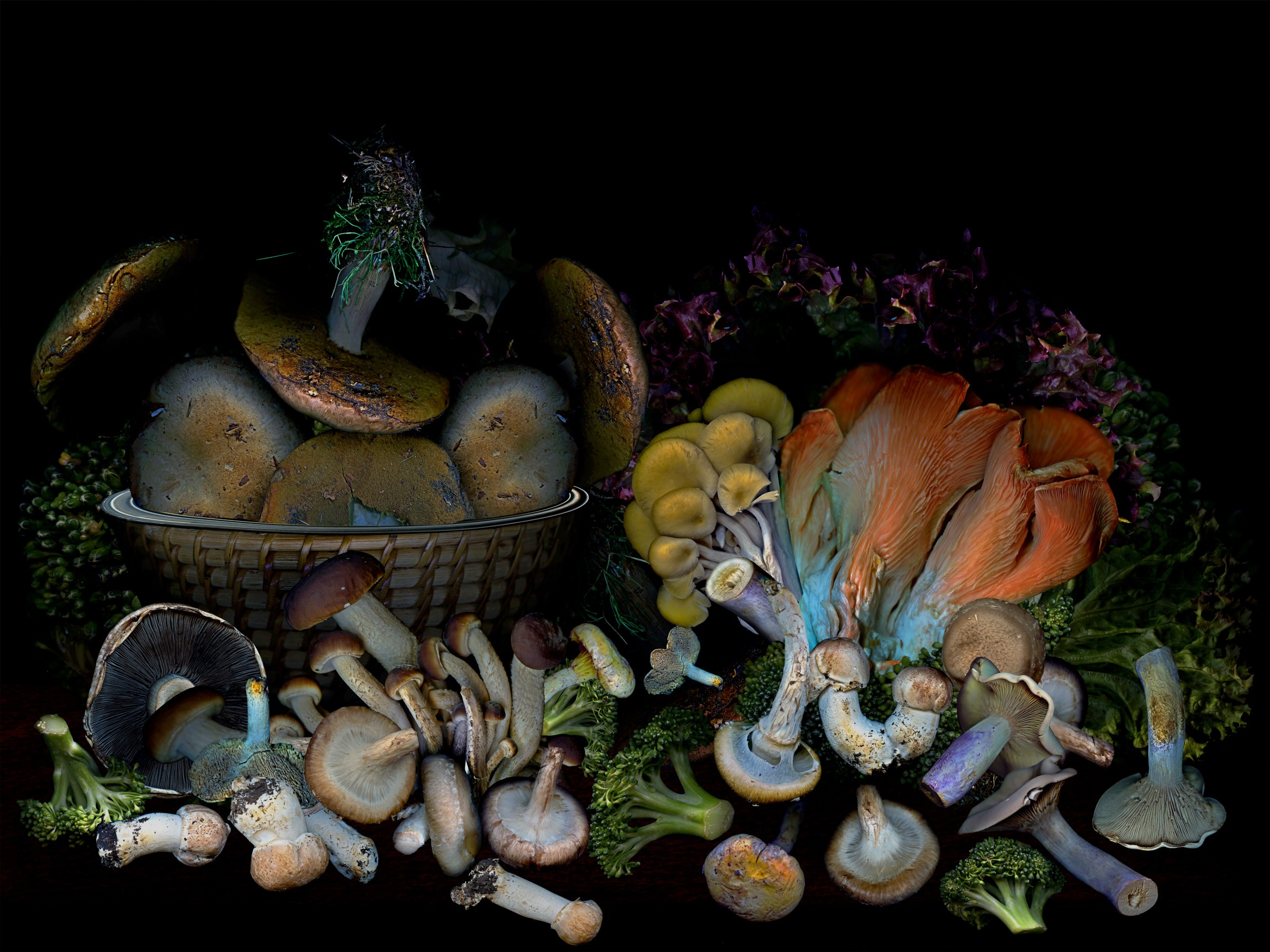 Zoltan Gerliczki, Vegetables from my garden #3 Zoltan Gerliczki, Vegetables from my garden #3