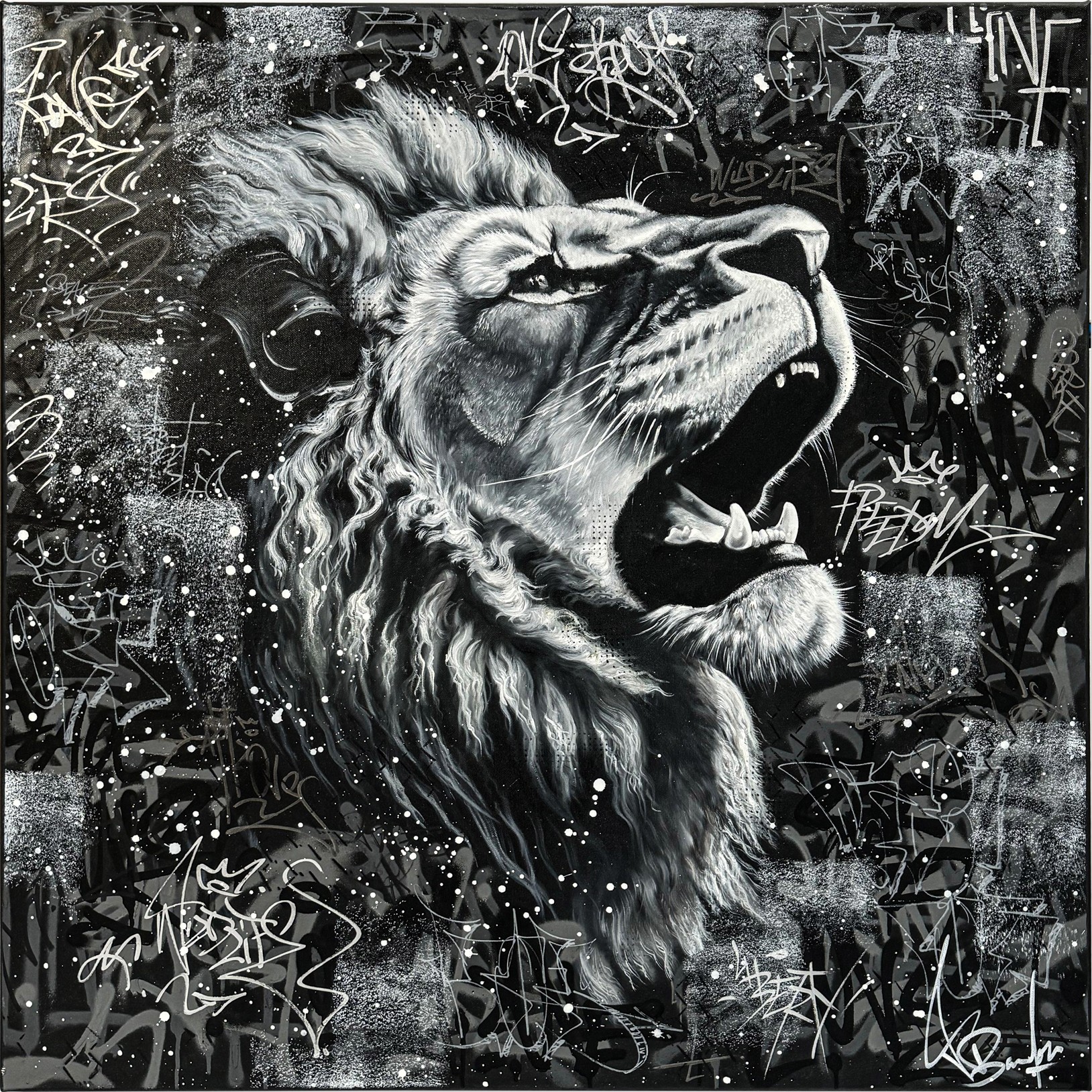 Vincent Bardou, The black king Vincent Bardou, The black king