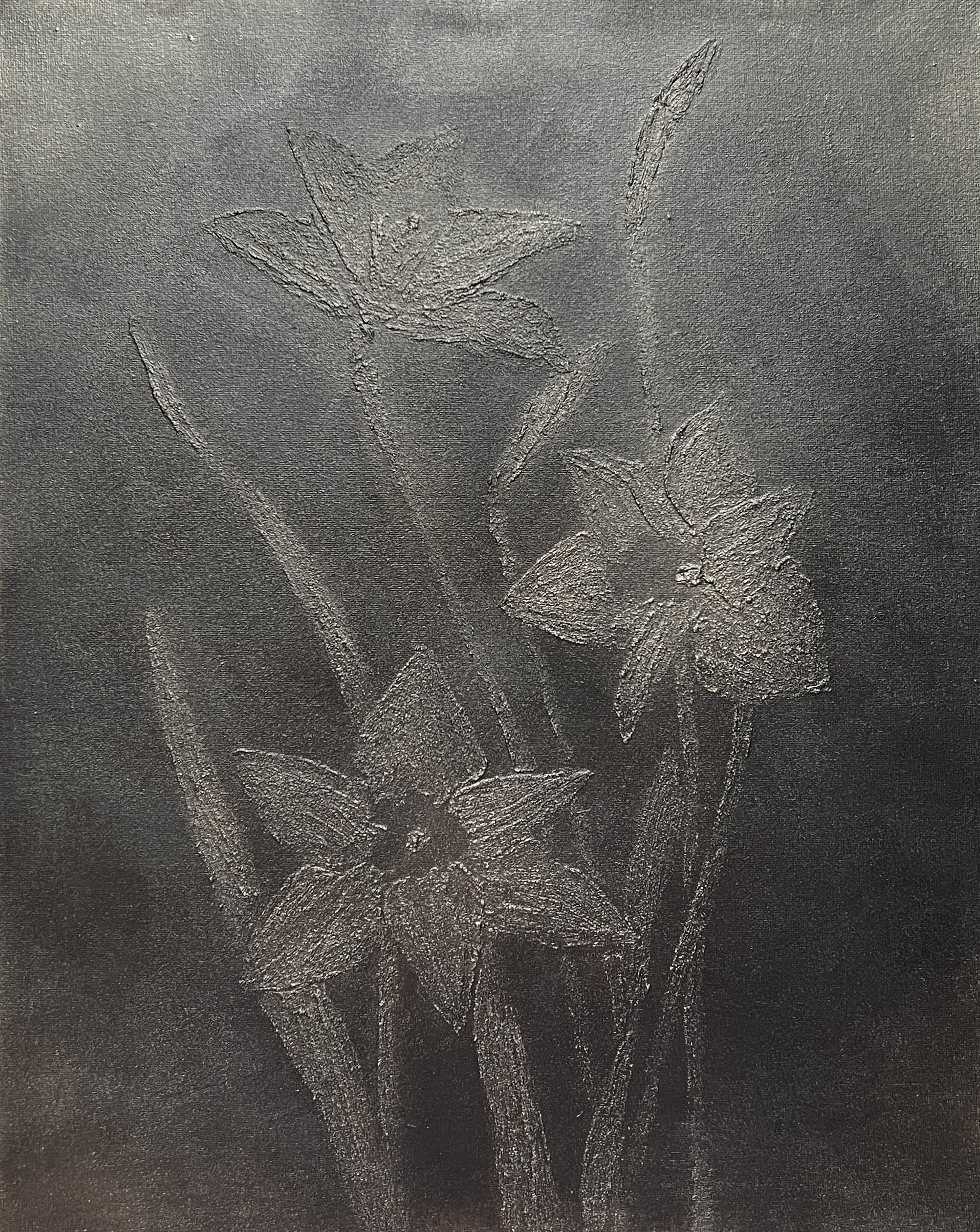 Irena Tone, Grey Metallic Daffodils Irena Tone, Grey Metallic Daffodils