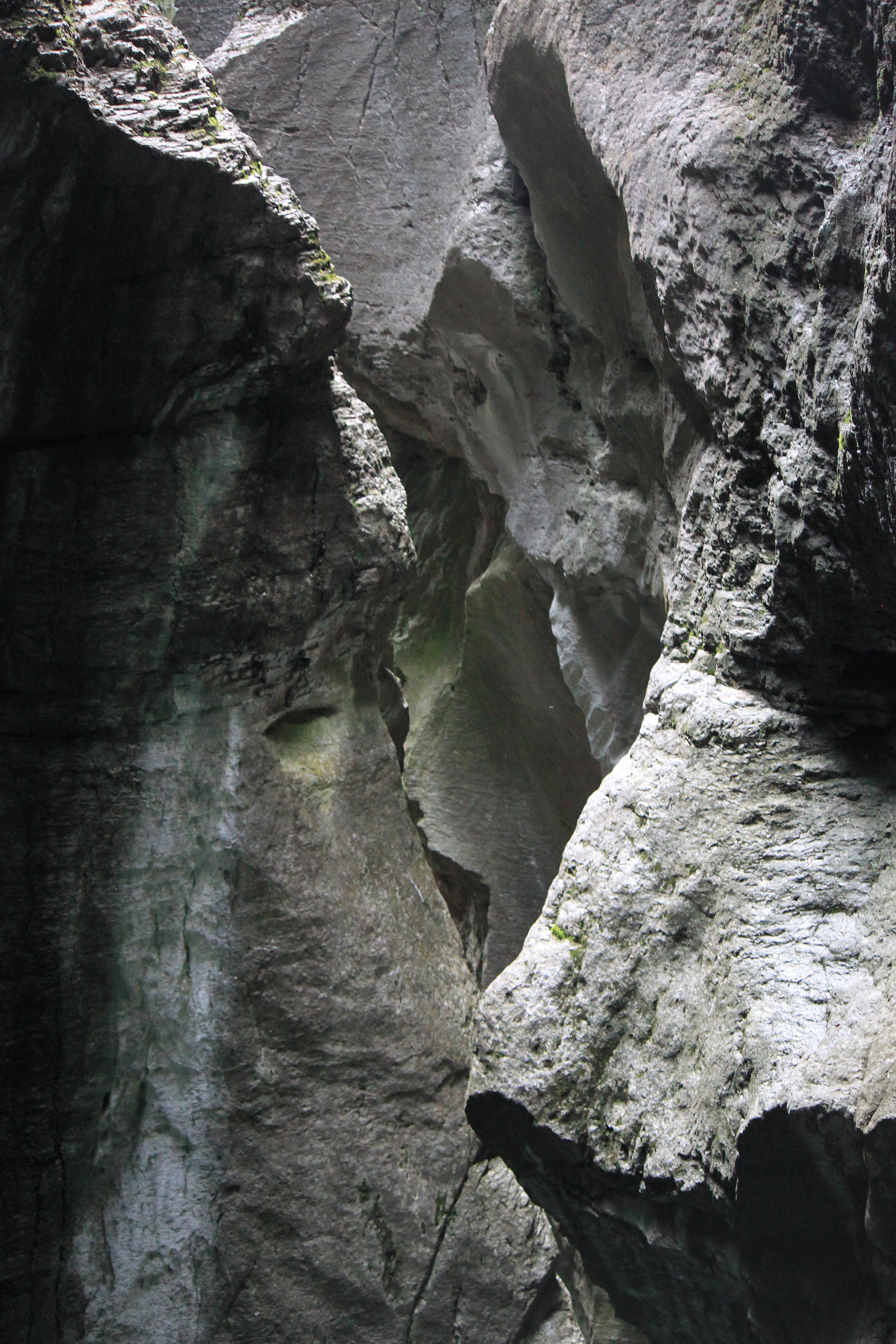 Kseniia Redina, Structure Kseniia Redina, Structure