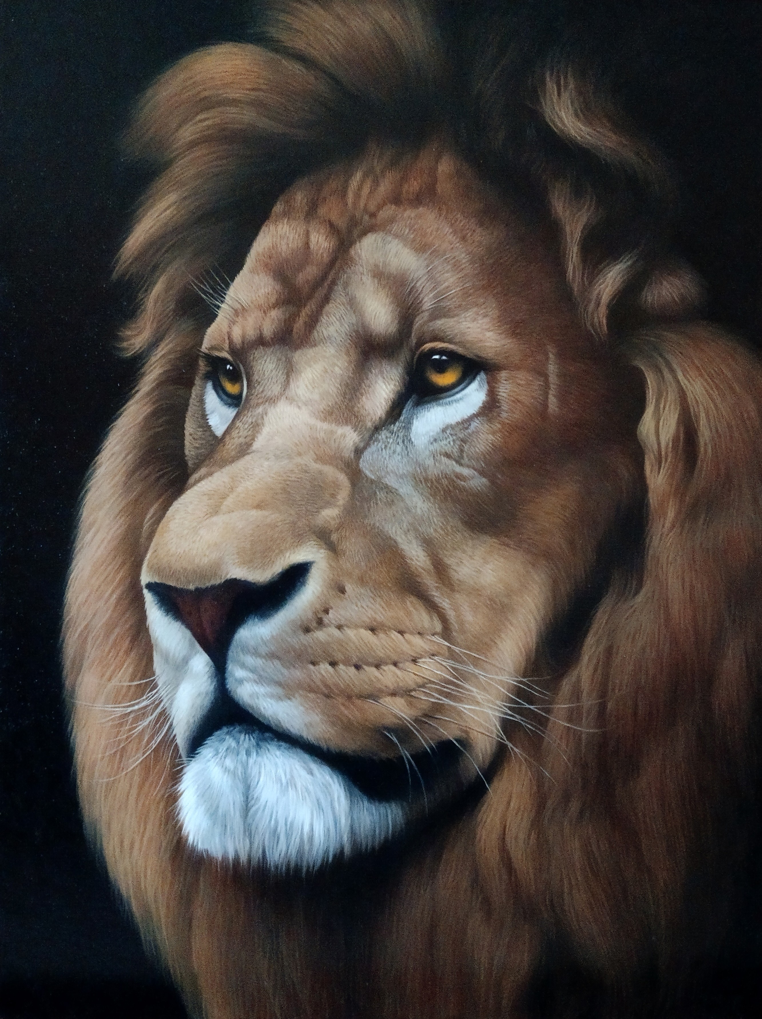 Tamar Nazaryan, Lion portrait 1 Tamar Nazaryan, Lion portrait 1