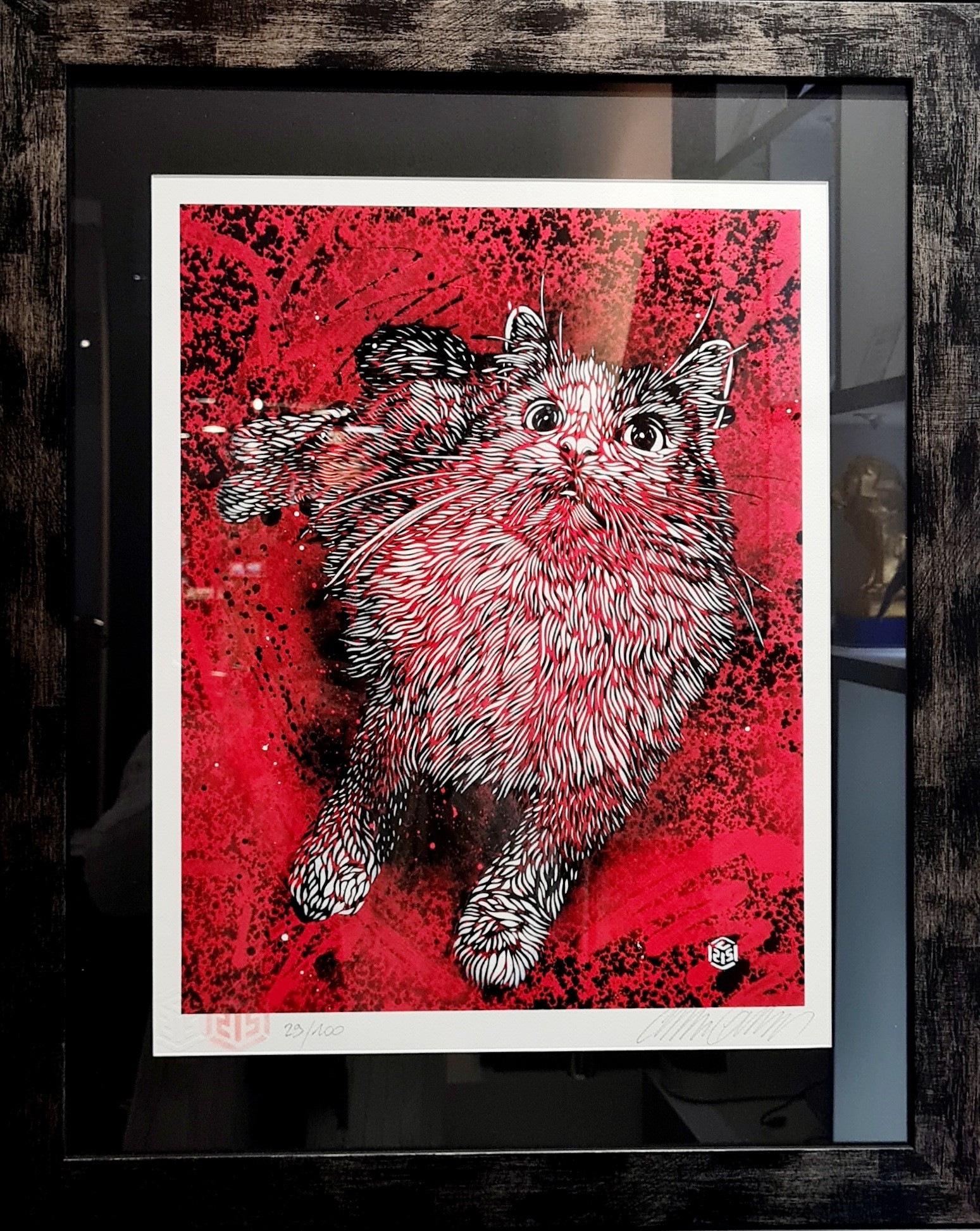 C215, Pristi C215, Pristi