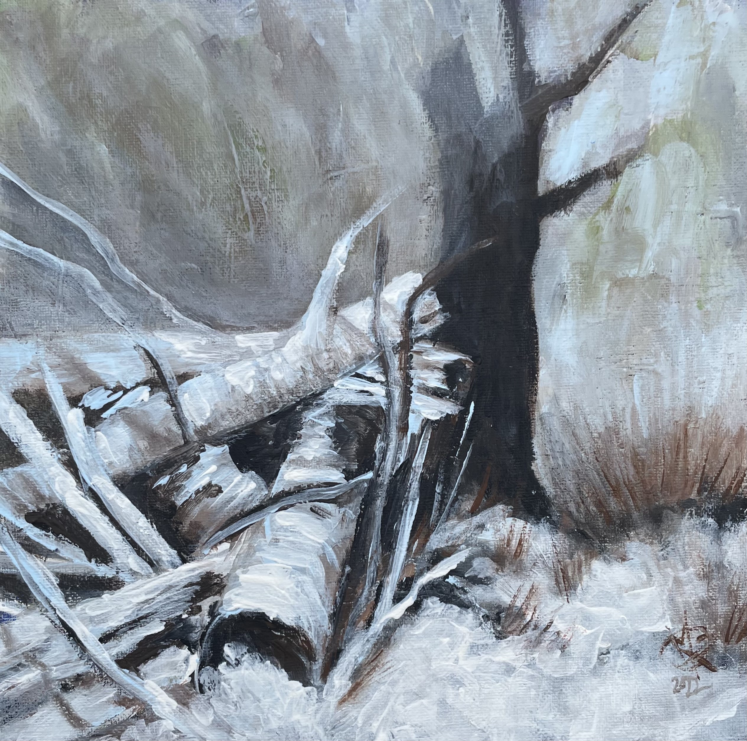 Mariam Qureshi, Winter paradise for the Lynx Mariam Qureshi, Winter paradise for the Lynx
