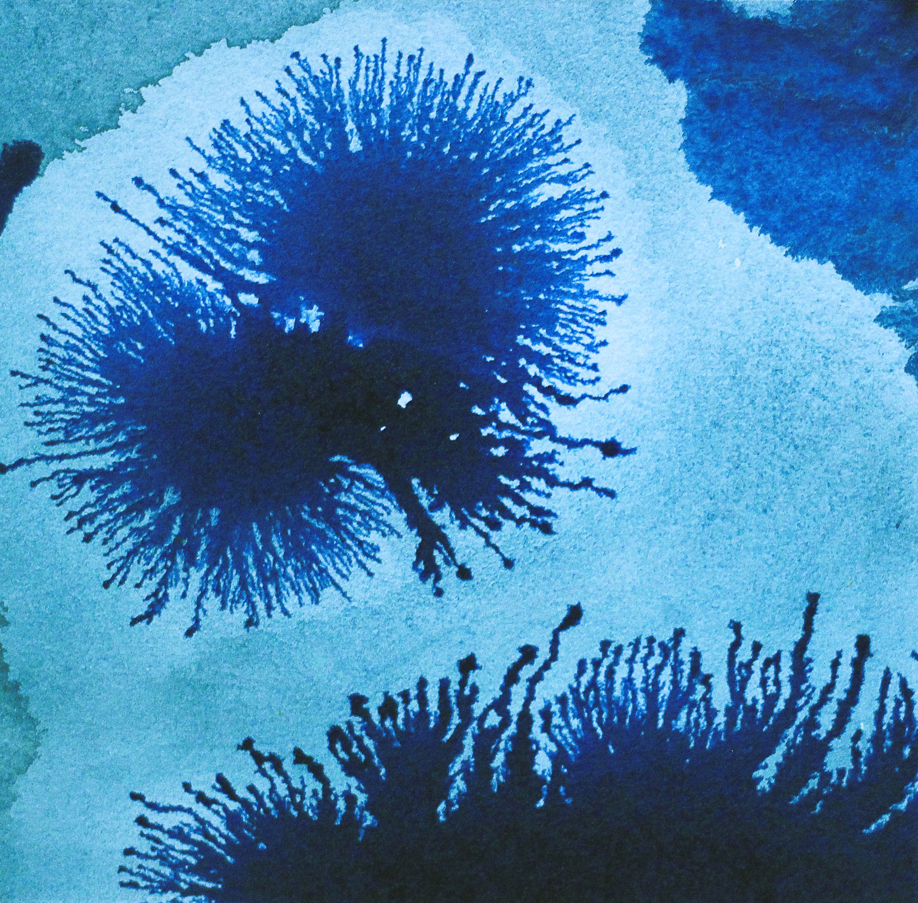 Aurélie Trabaud, Paysages d'encre n°3 Aurélie Trabaud, Paysages d'encre n°3