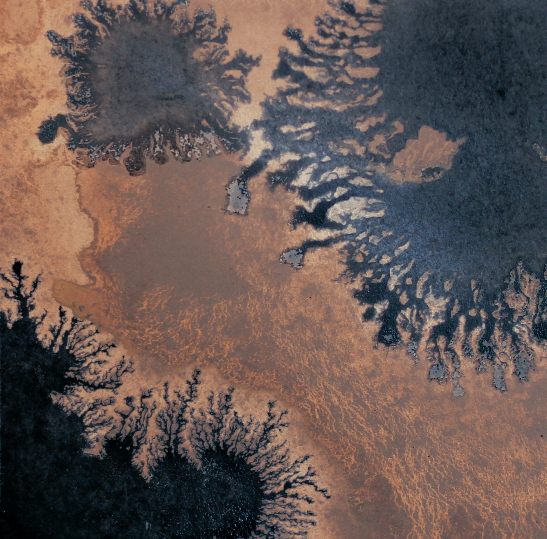 Aurélie Trabaud, Paysages d'encre N°4 Aurélie Trabaud, Paysages d'encre N°4