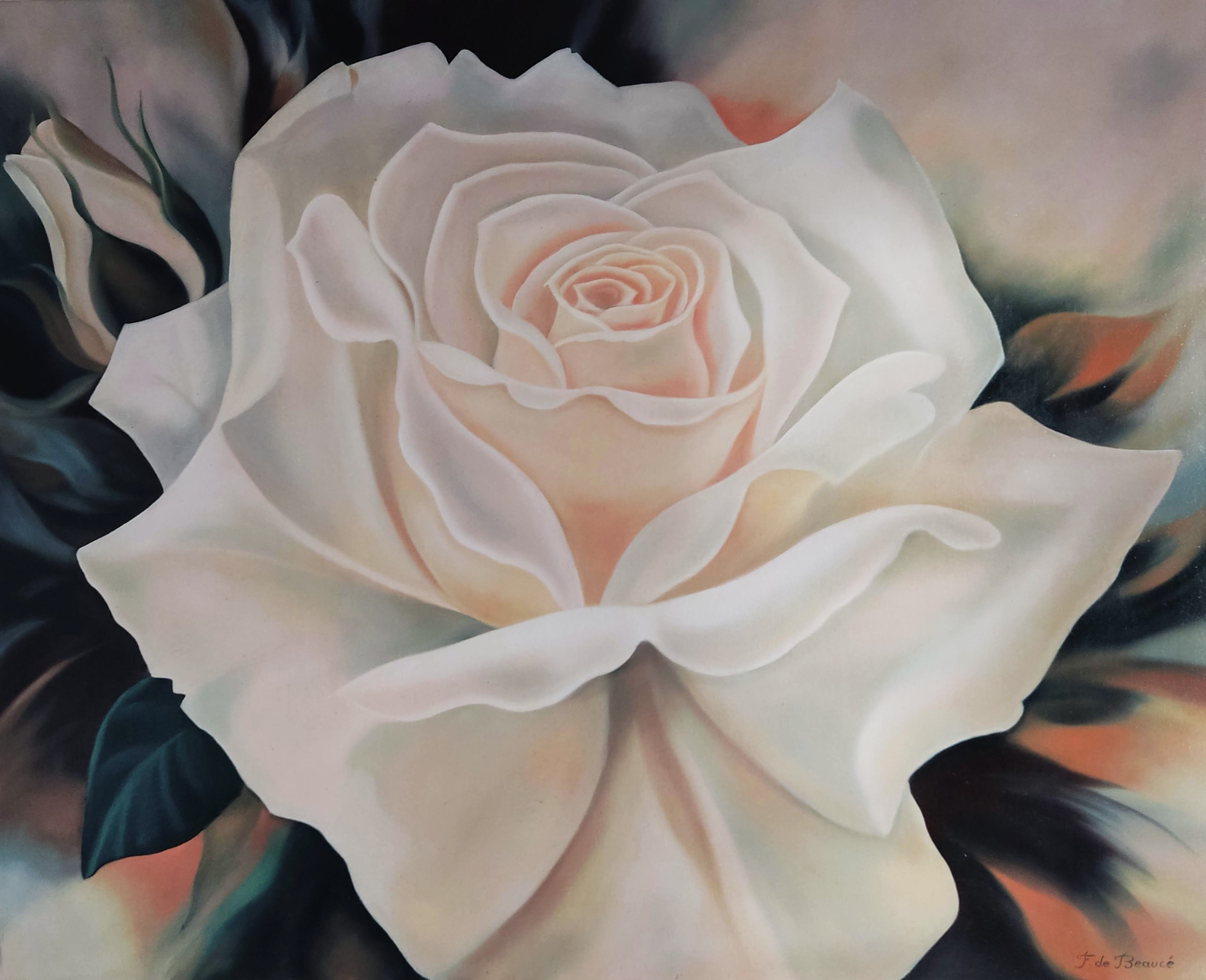 Françoise De Beaucé, Rose épanouie Françoise De Beaucé, Rose épanouie