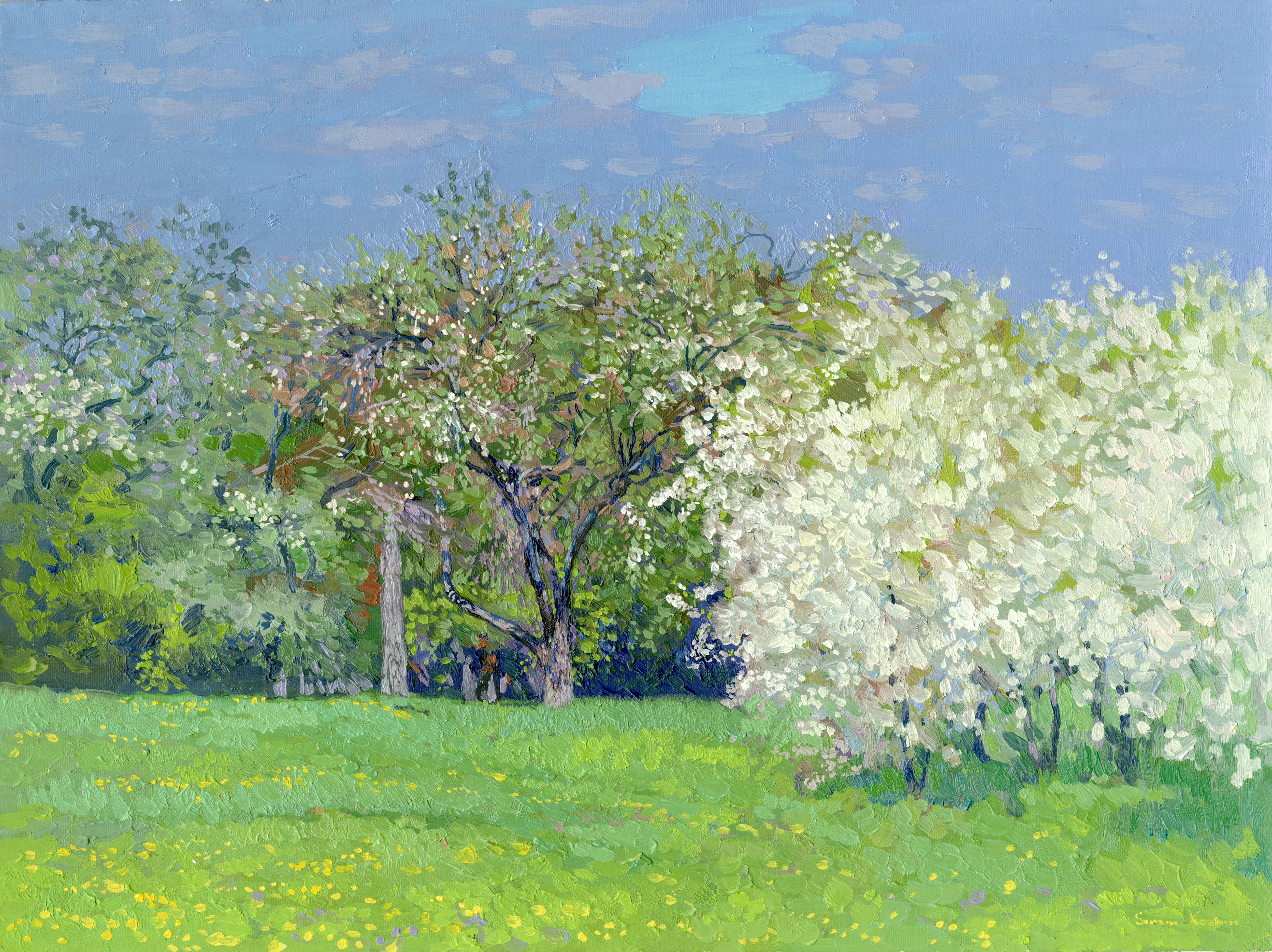 Simon Kozhin, Cherry color. Kolomenskoye Gardens Simon Kozhin, Cherry color. Kolomenskoye Gardens