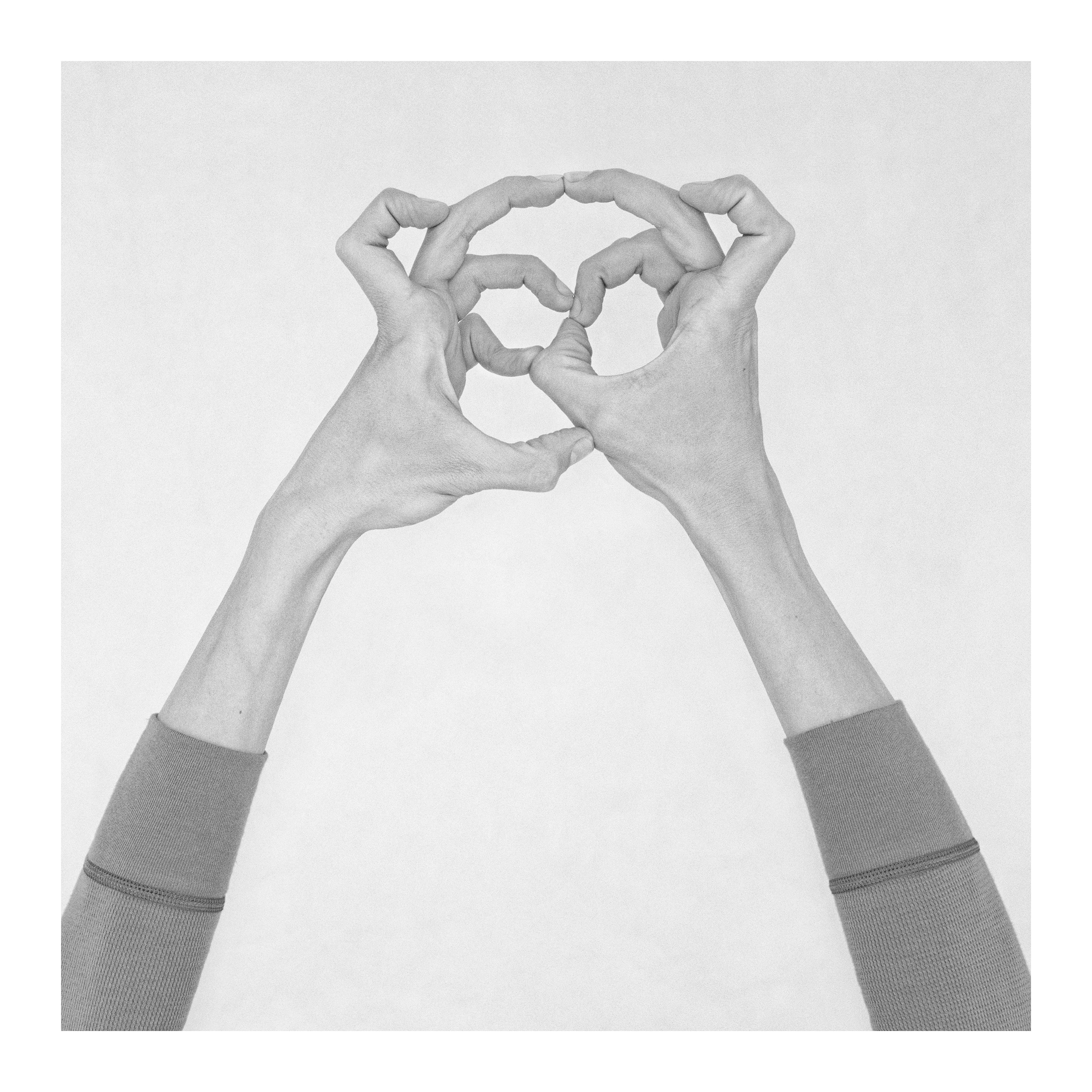 Nico Baixas / Gos-com-fuig, Untitled XXIX. From the Series Chiromorphose Nico Baixas / Gos-com-fuig, Untitled XXIX. From the Series Chiromorphose