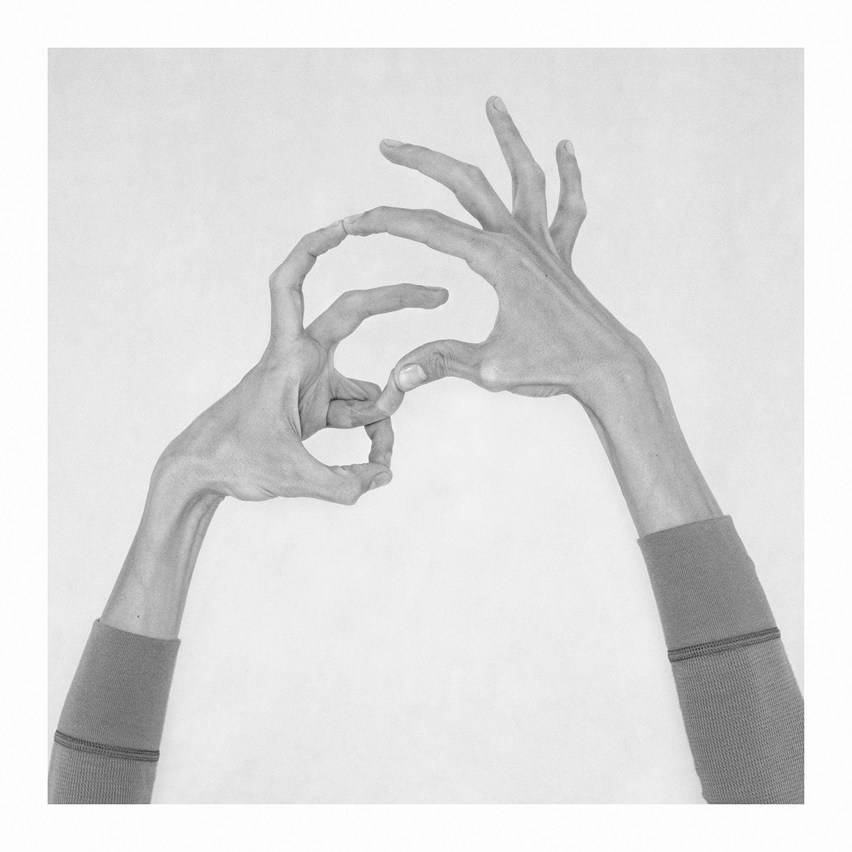 Nico Baixas / Gos-com-fuig, Untitled XXX. From the Series Chiromorphose Nico Baixas / Gos-com-fuig, Untitled XXX. From the Series Chiromorphose
