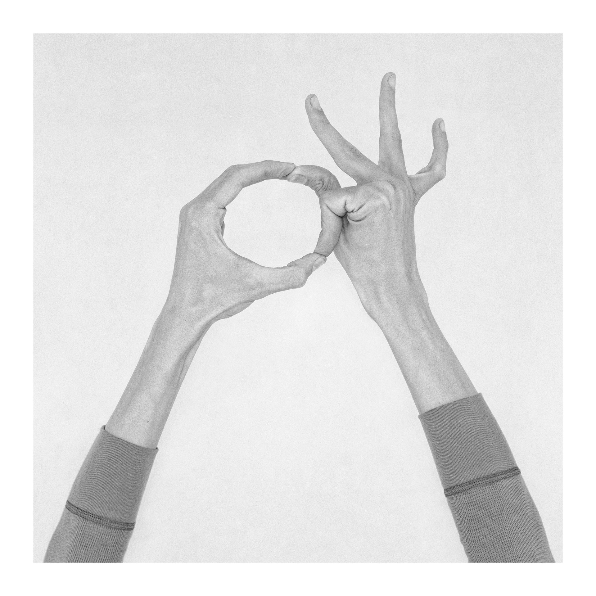 Nico Baixas / Gos-com-fuig, Untitled XXXII. From the Series Chiromorphose Nico Baixas / Gos-com-fuig, Untitled XXXII. From the Series Chiromorphose