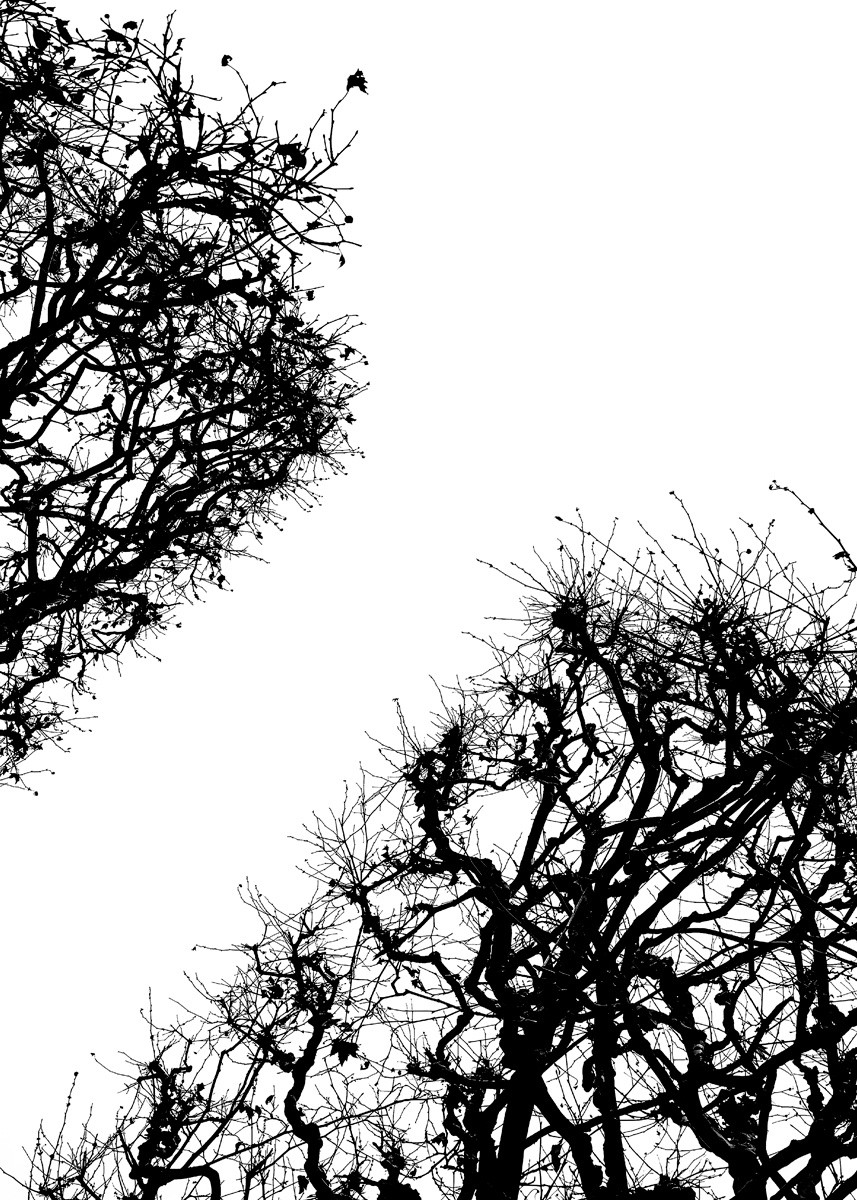 Yann Gaillot, Arbres - 1794 Yann Gaillot, Arbres - 1794