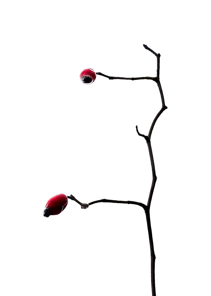 Yann Gaillot, Silhouettes - 6903 Yann Gaillot, Silhouettes - 6903