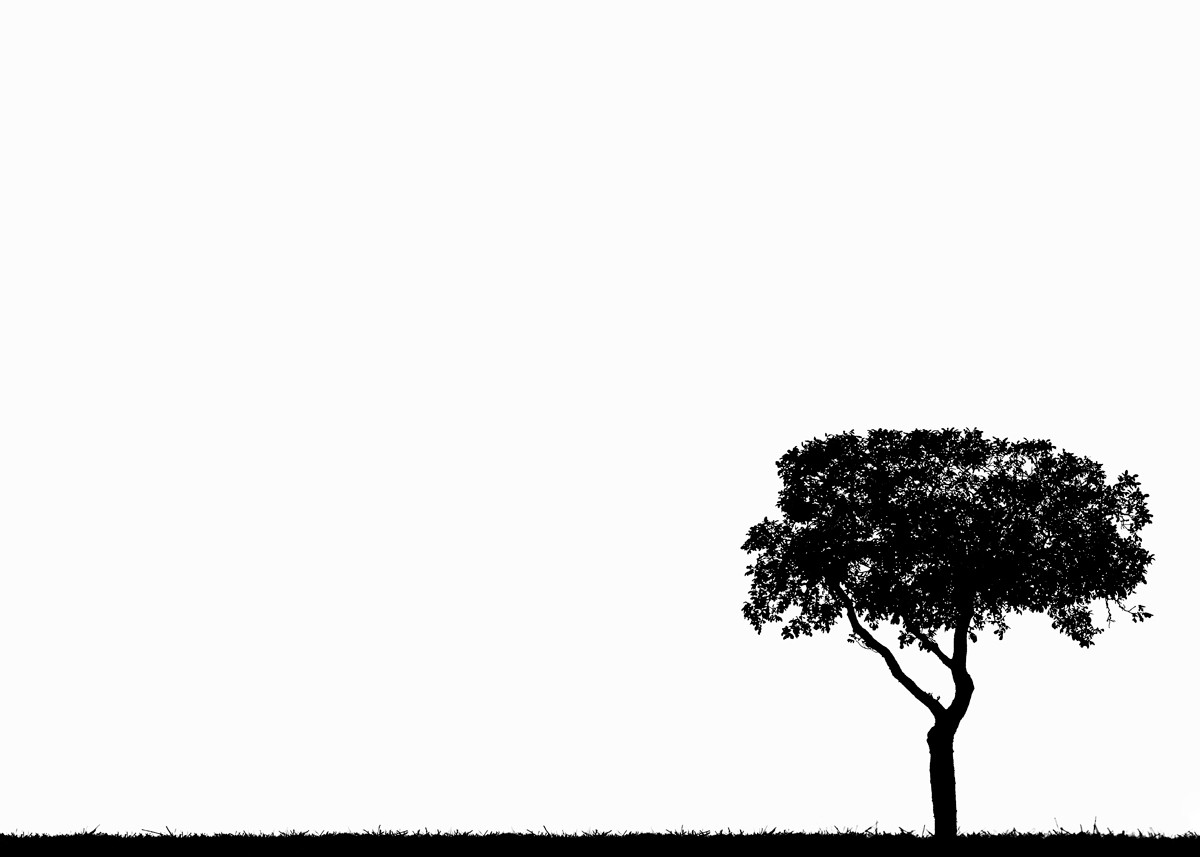 Yann Gaillot, Arbres - 1491 Yann Gaillot, Arbres - 1491