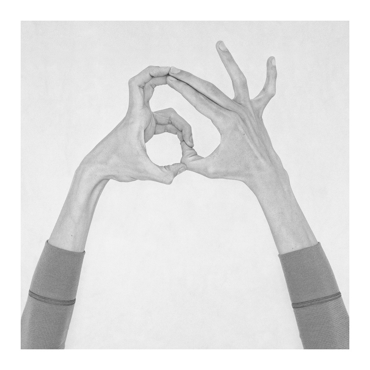 Nico Baixas / Gos-com-fuig, Untitled XXXIII. From the Series Chiromorphose Nico Baixas / Gos-com-fuig, Untitled XXXIII. From the Series Chiromorphose