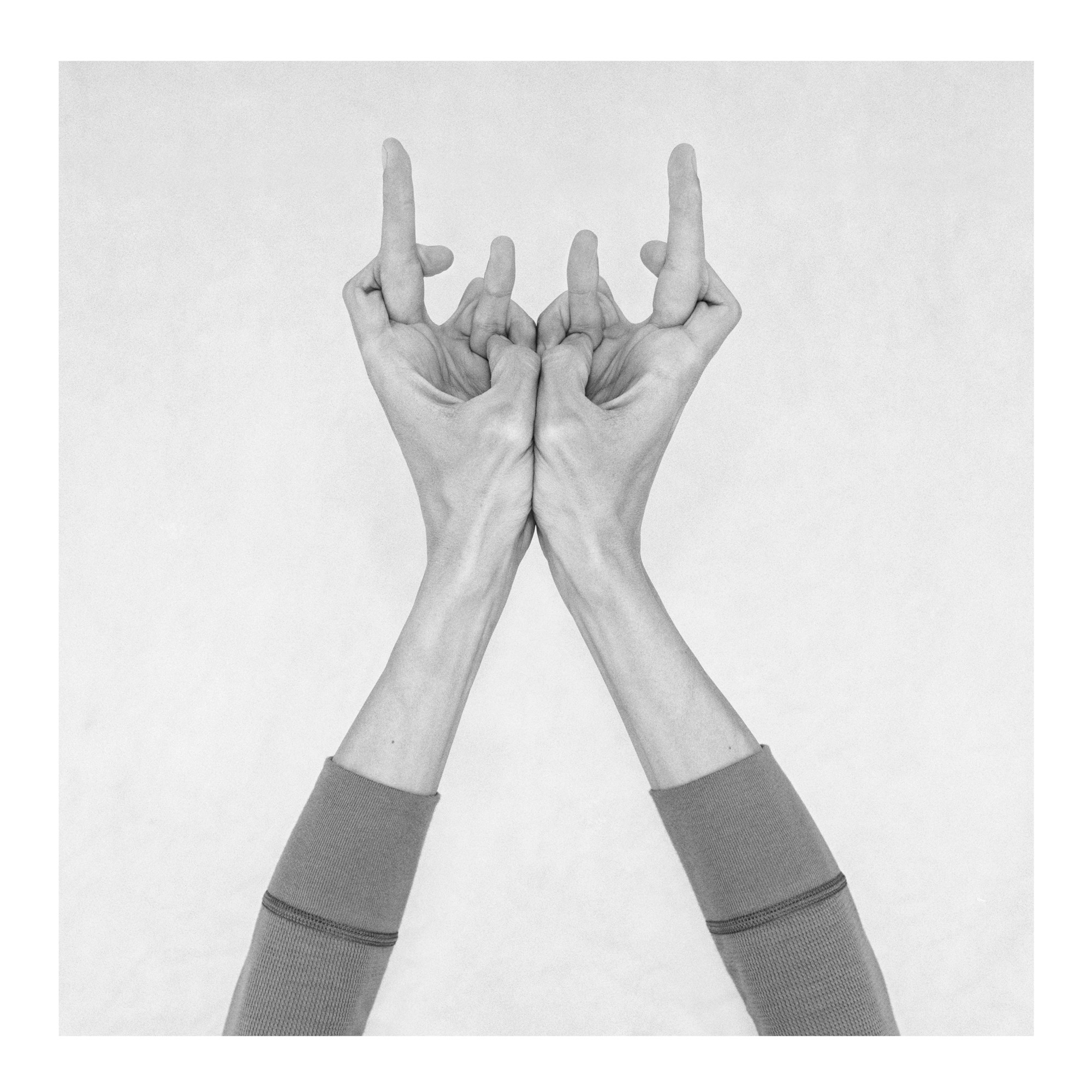 Nico Baixas / Gos-com-fuig, Untitled XXXVII. From the Series Chiromorphose Nico Baixas / Gos-com-fuig, Untitled XXXVII. From the Series Chiromorphose