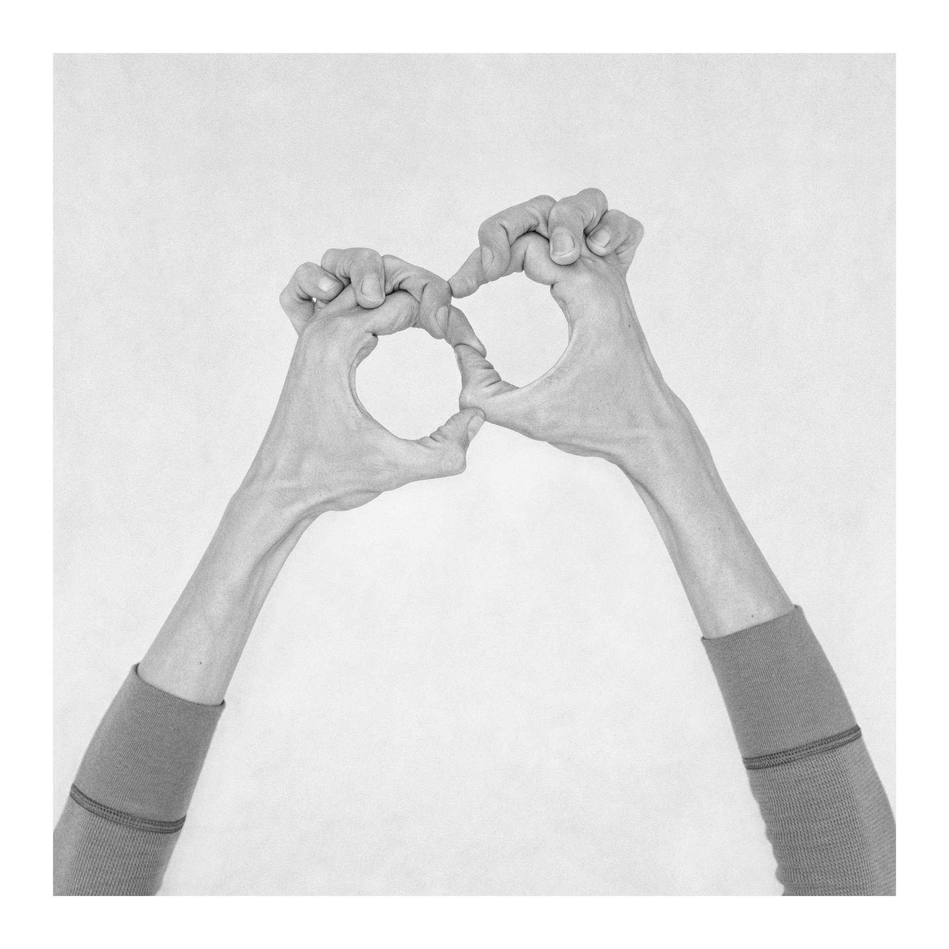 Nico Baixas / Gos-com-fuig, Untitled XXXIX. From the Series Chiromorphose Nico Baixas / Gos-com-fuig, Untitled XXXIX. From the Series Chiromorphose