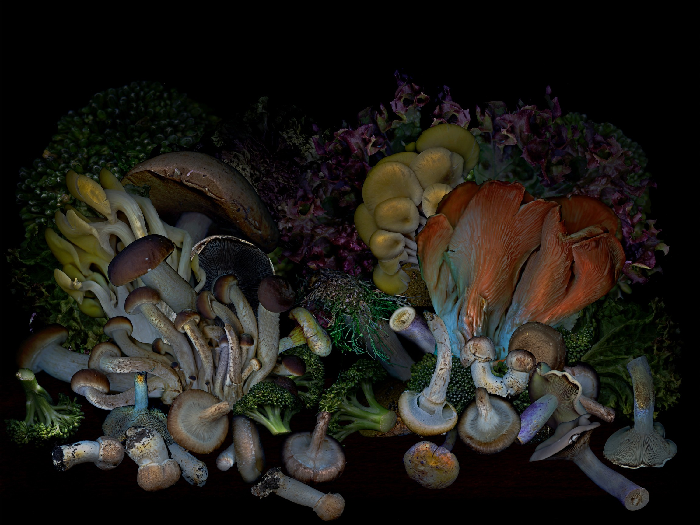 Zoltan Gerliczki, Vegetables from my garden #9 Zoltan Gerliczki, Vegetables from my garden #9
