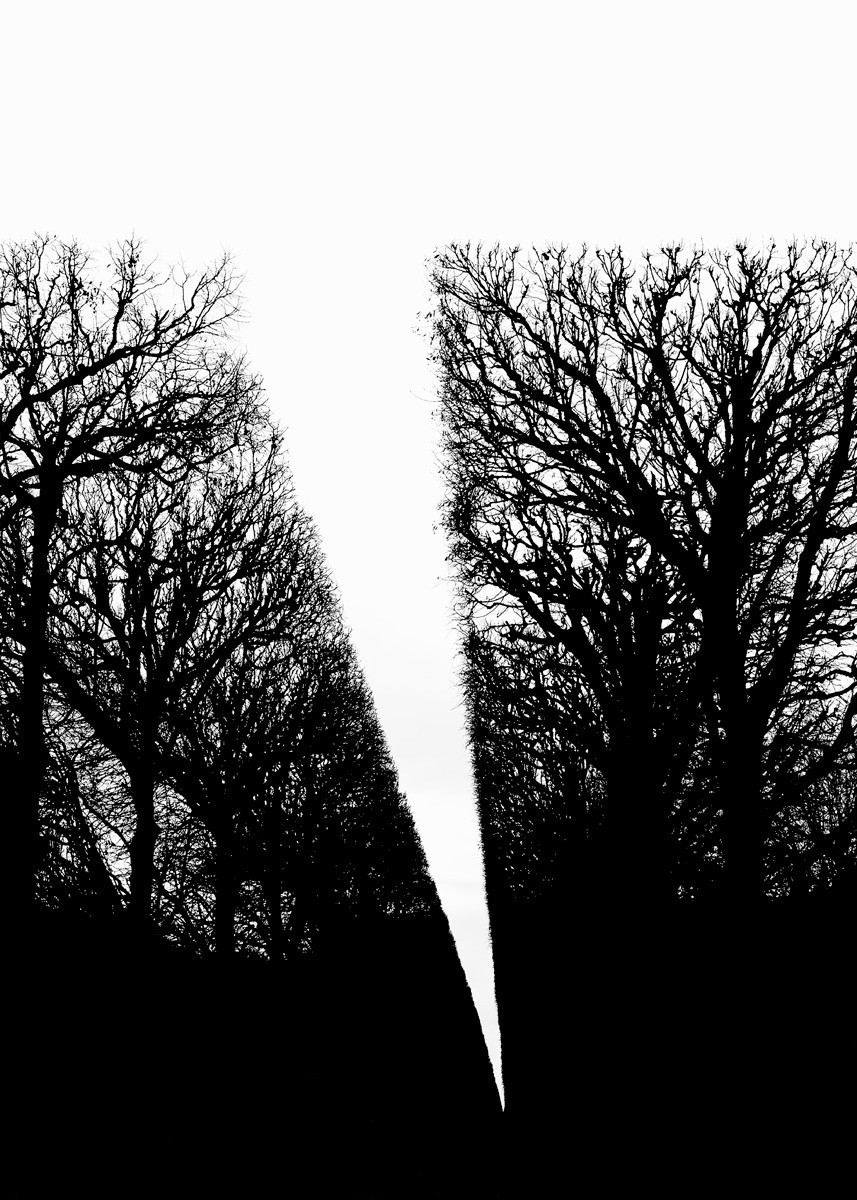 Yann Gaillot, Arbres - 1839 Yann Gaillot, Arbres - 1839