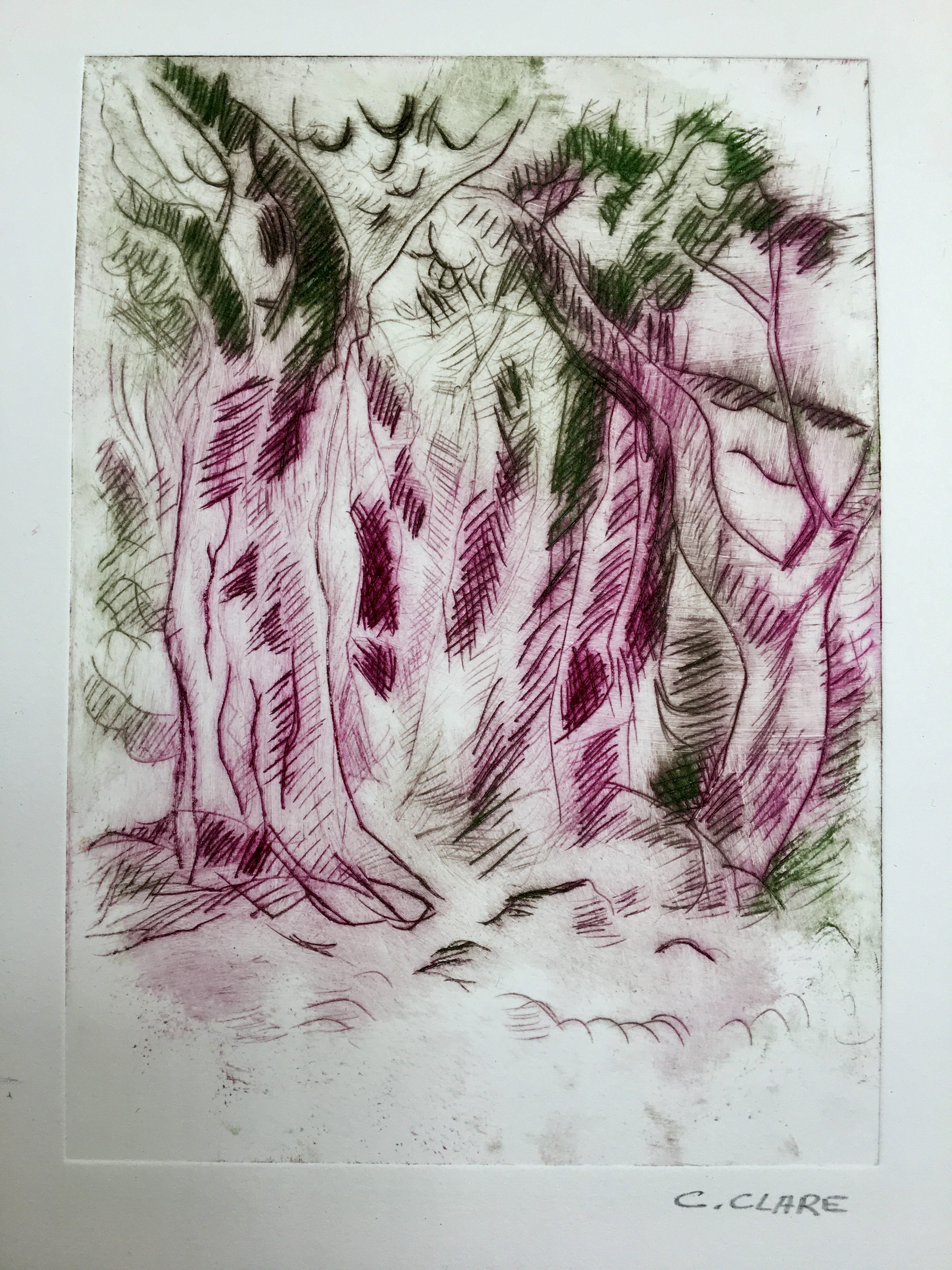 Catherine Clare, Les troncs rouges N°3 Catherine Clare, Les troncs rouges N°3