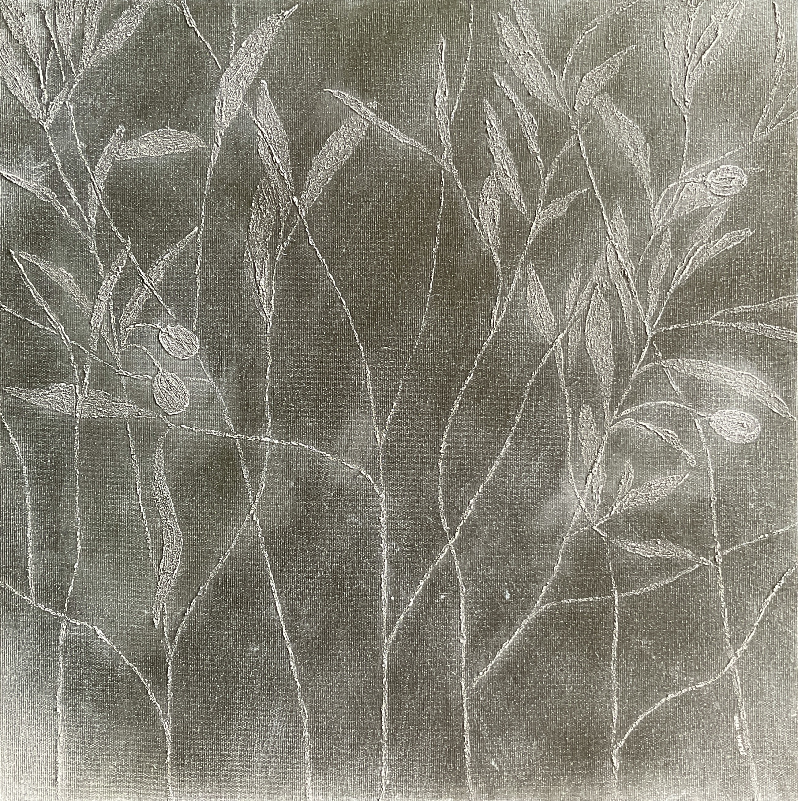 Irena Tone, Olive tree Irena Tone, Olive tree