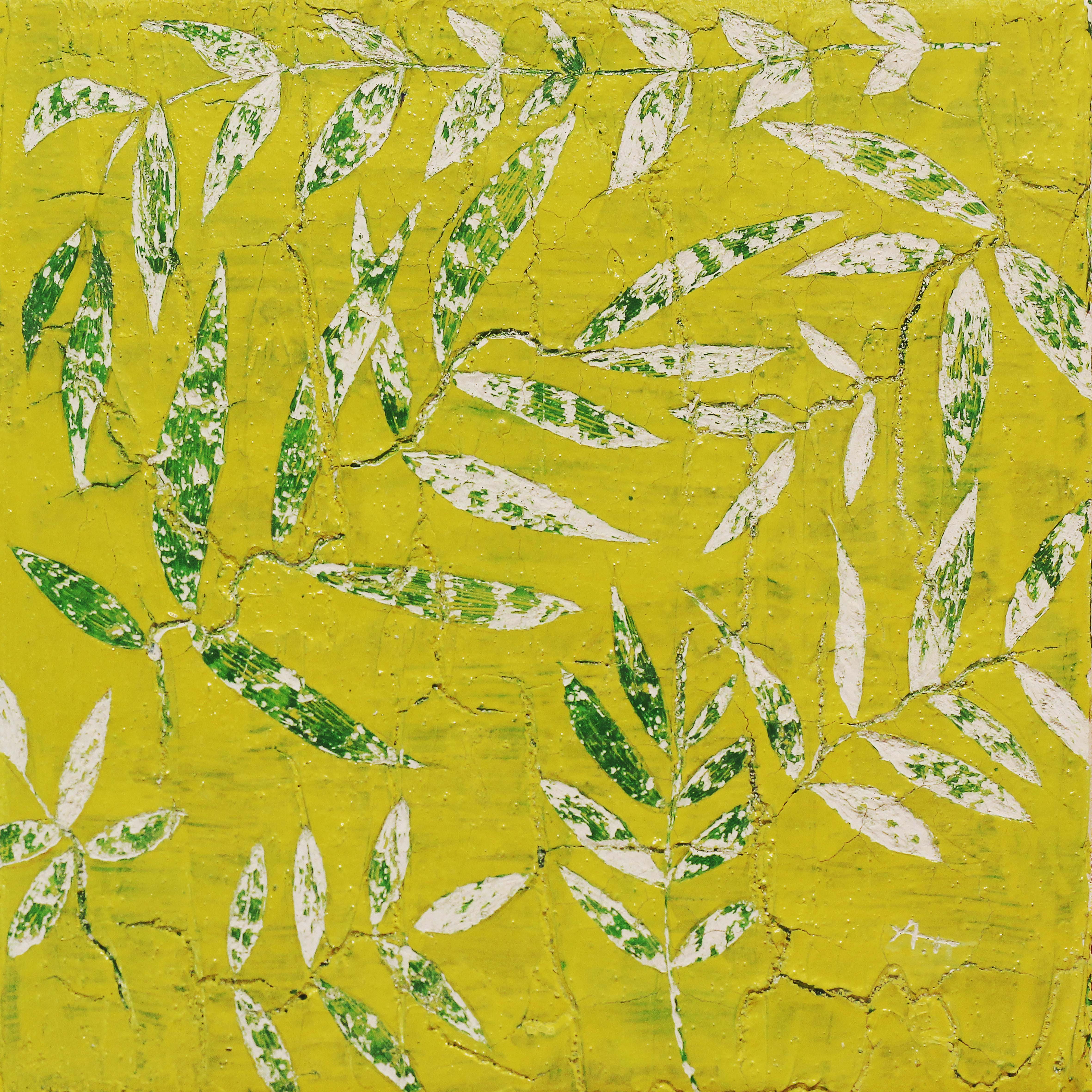 Aurélie Trabaud, Olea europea Aurélie Trabaud, Olea europea