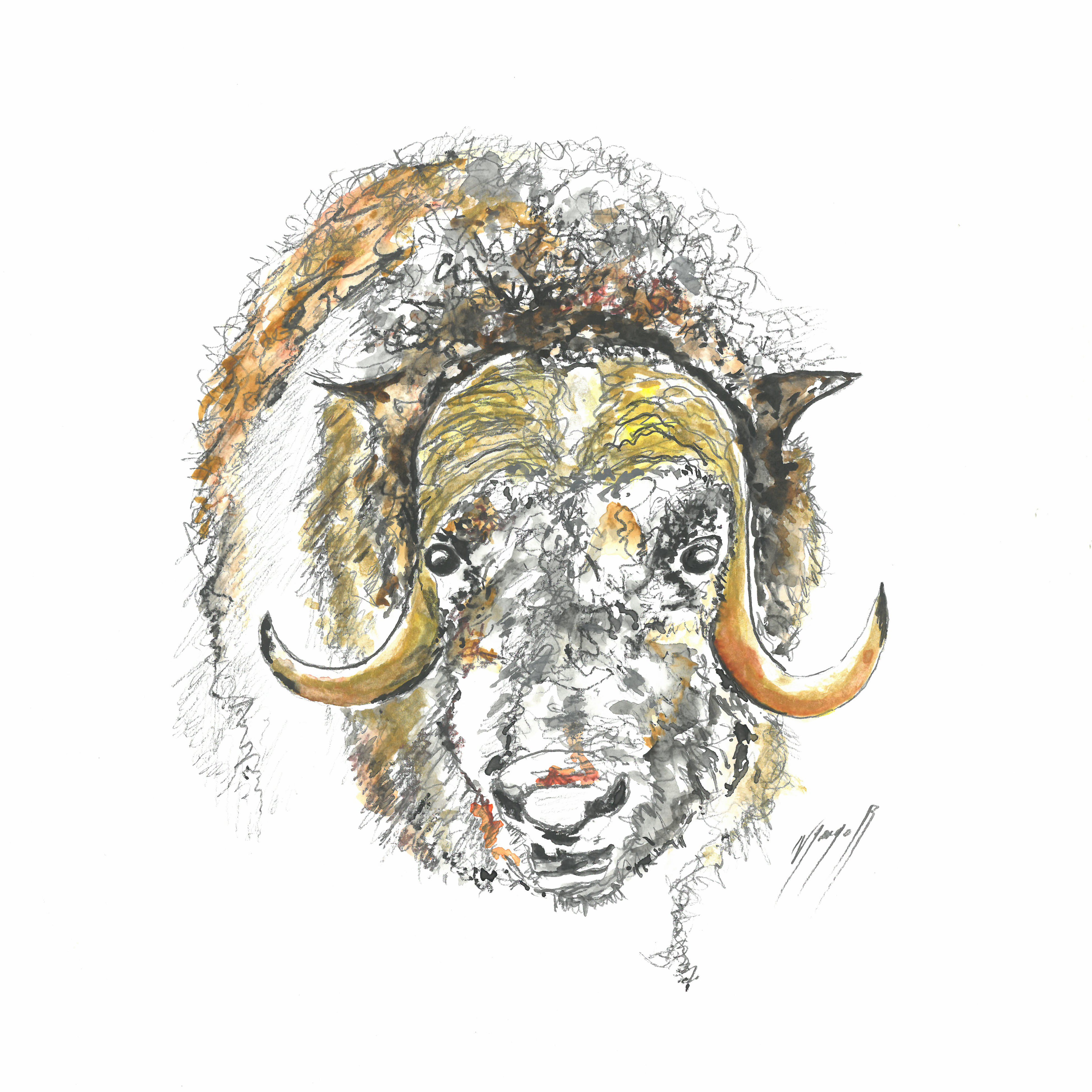 Noël Granger, Au corne d'Or ! Noël Granger, Au corne d'Or !