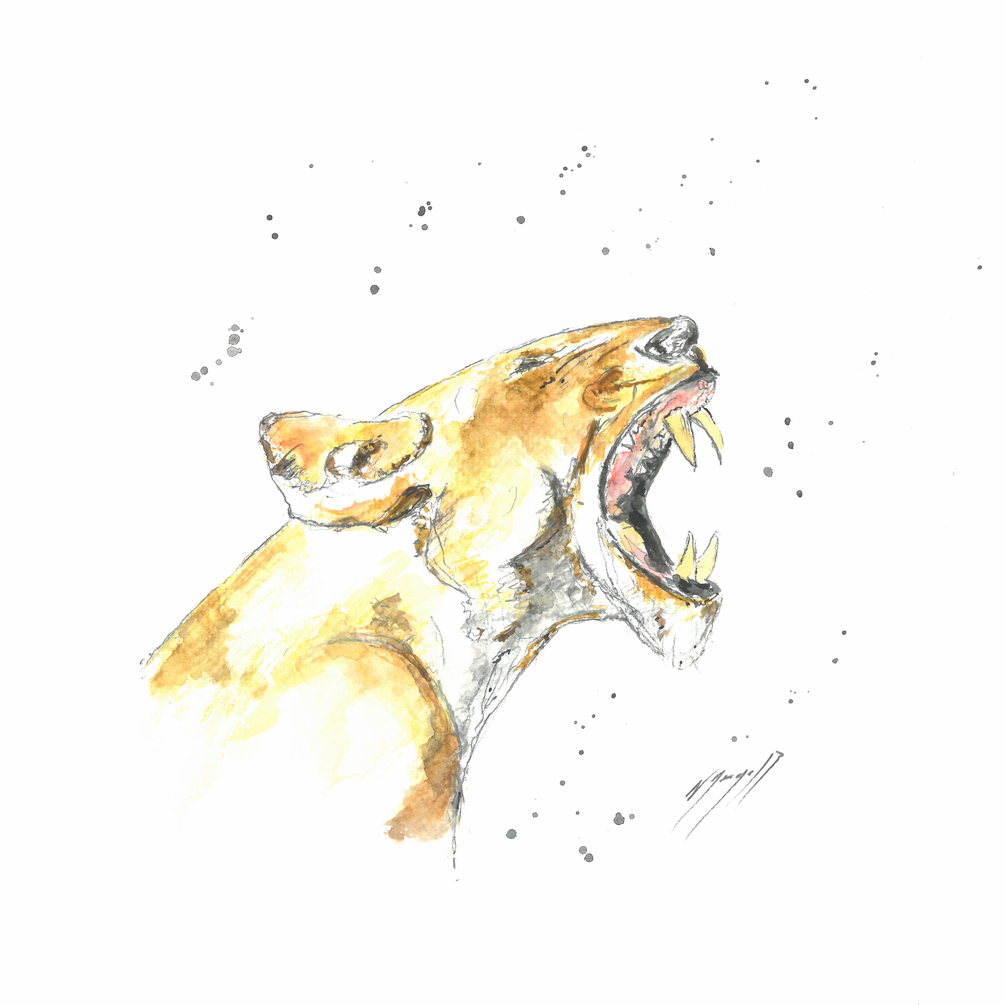 Noël Granger, La lionne ! Noël Granger, La lionne !