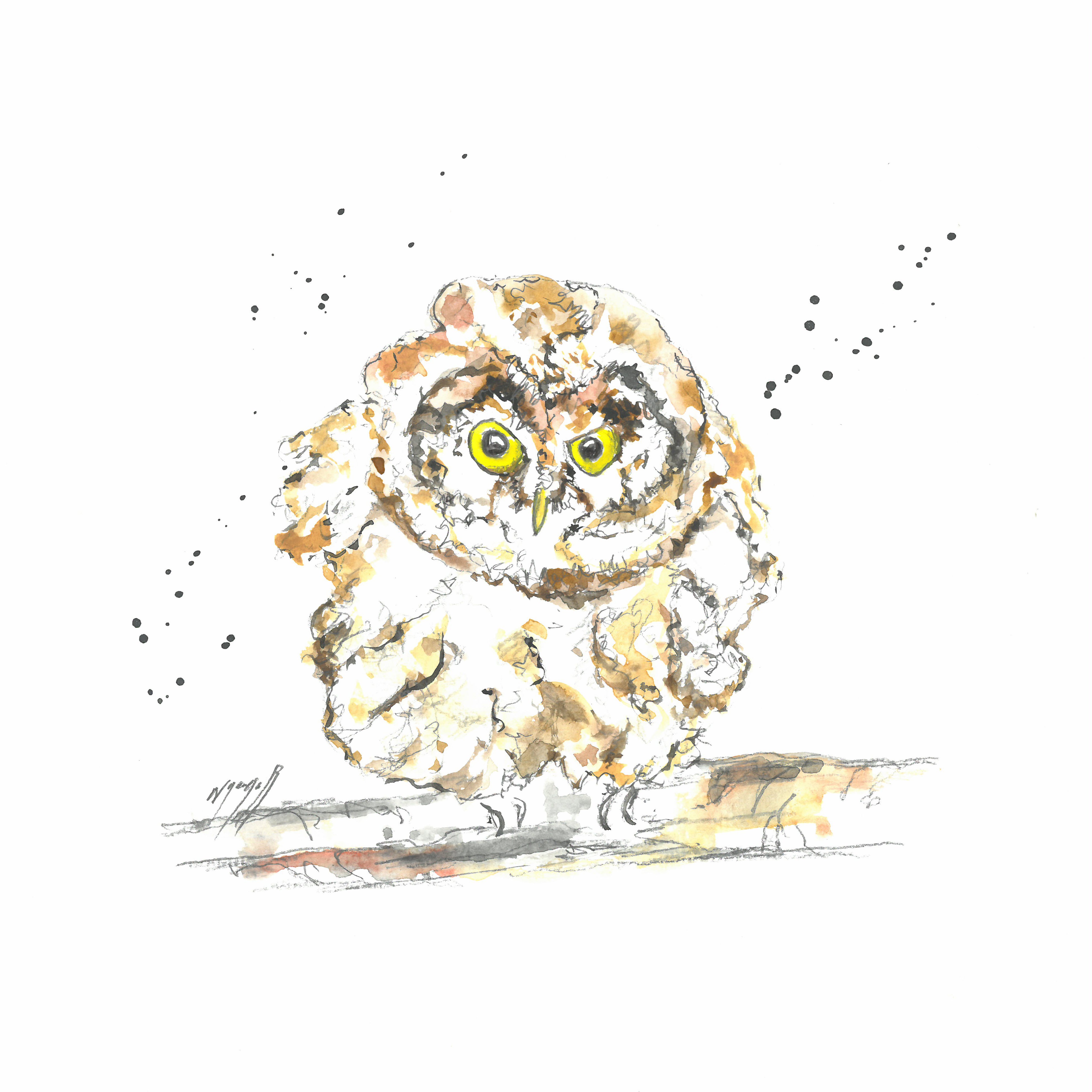 Noël Granger, Chouette ce Hibou ! Noël Granger, Chouette ce Hibou !