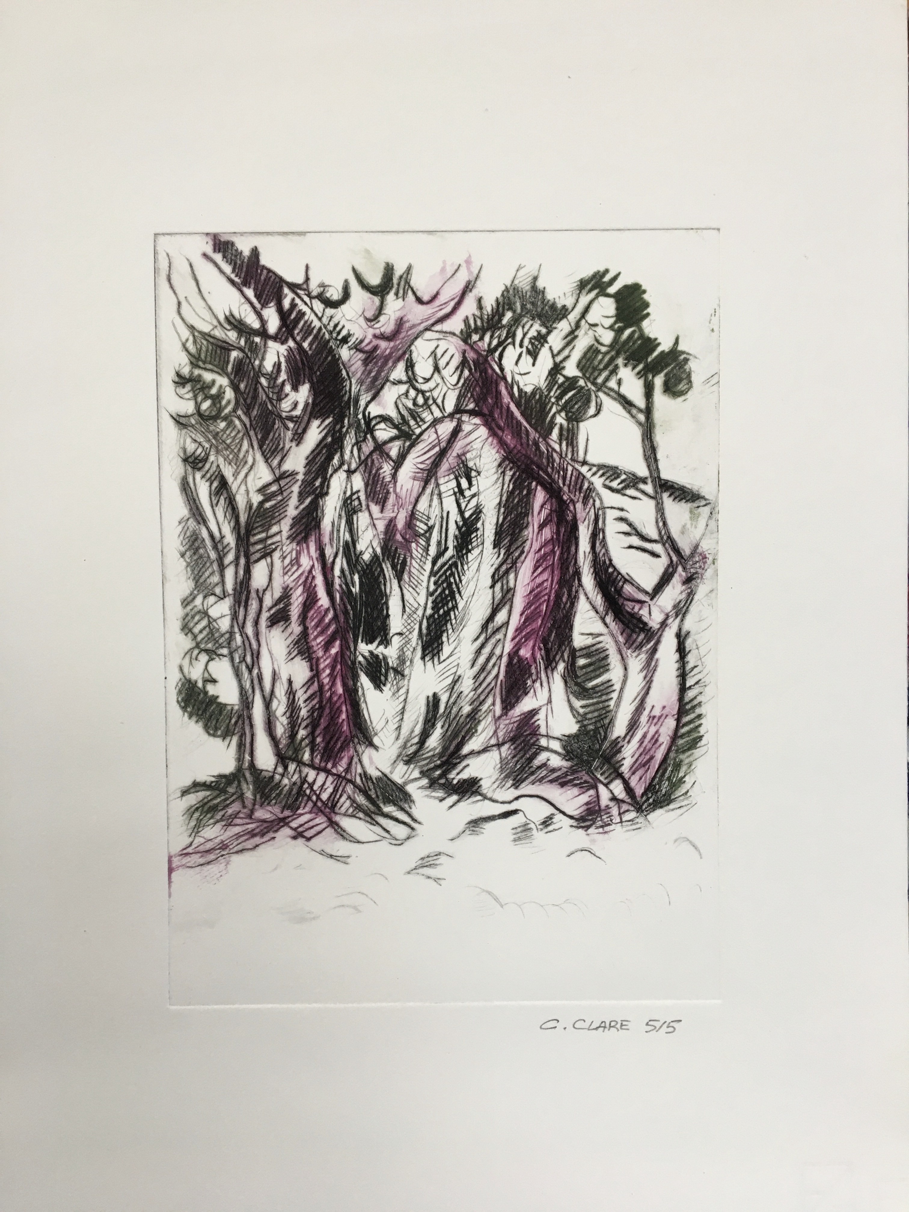 Catherine Clare, Les troncs d'arbres N°5 Catherine Clare, Les troncs d'arbres N°5