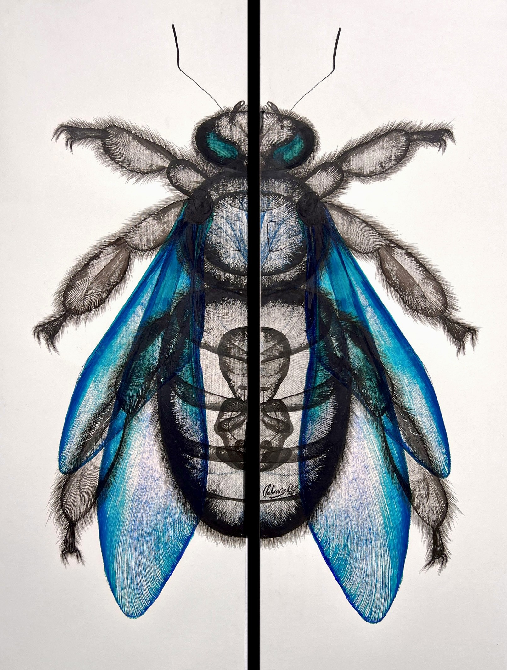 Chahrazed Fekih, Blue Bumblebee Chahrazed Fekih, Blue Bumblebee