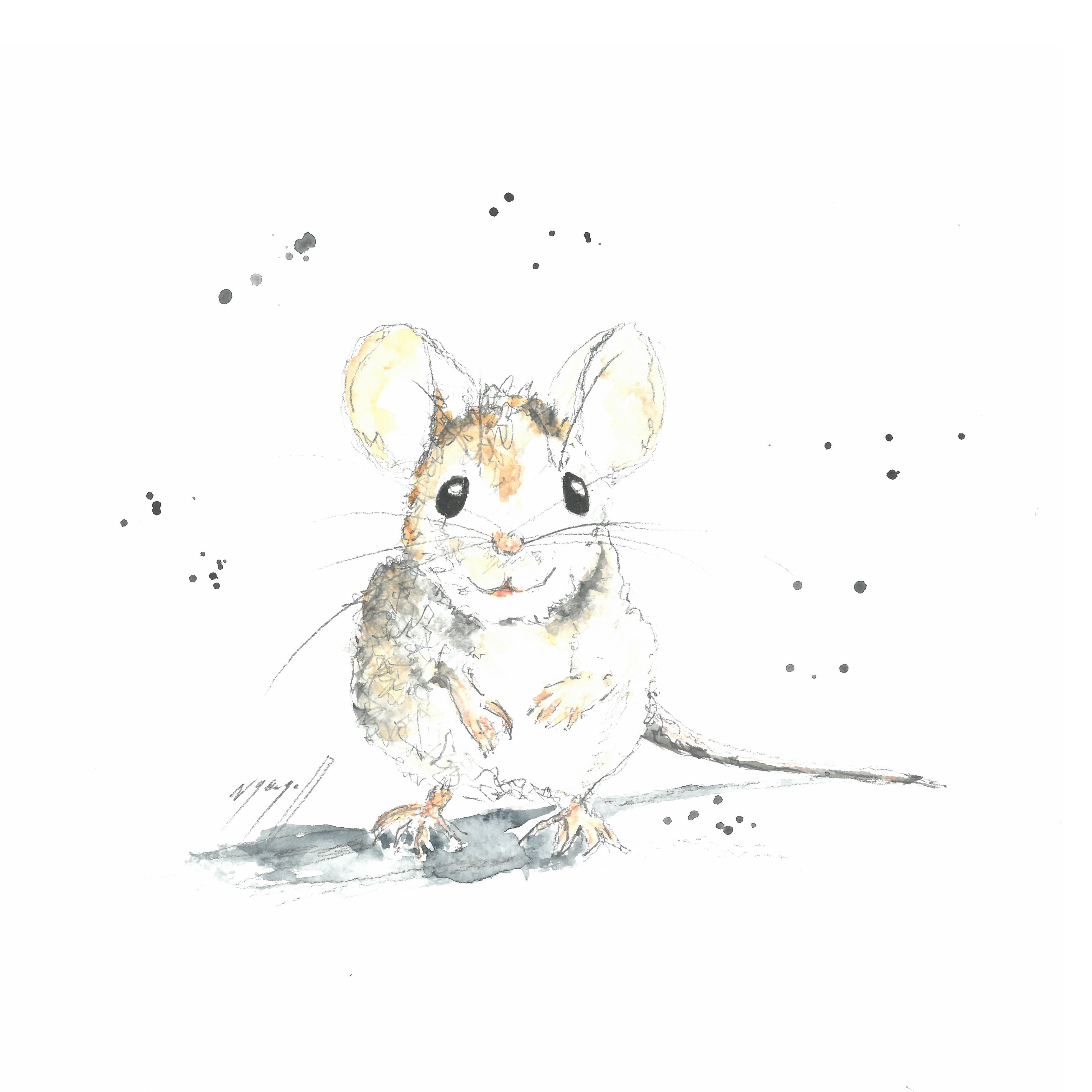 Noël Granger, La souris ! Souris Noël Granger, La souris ! Souris