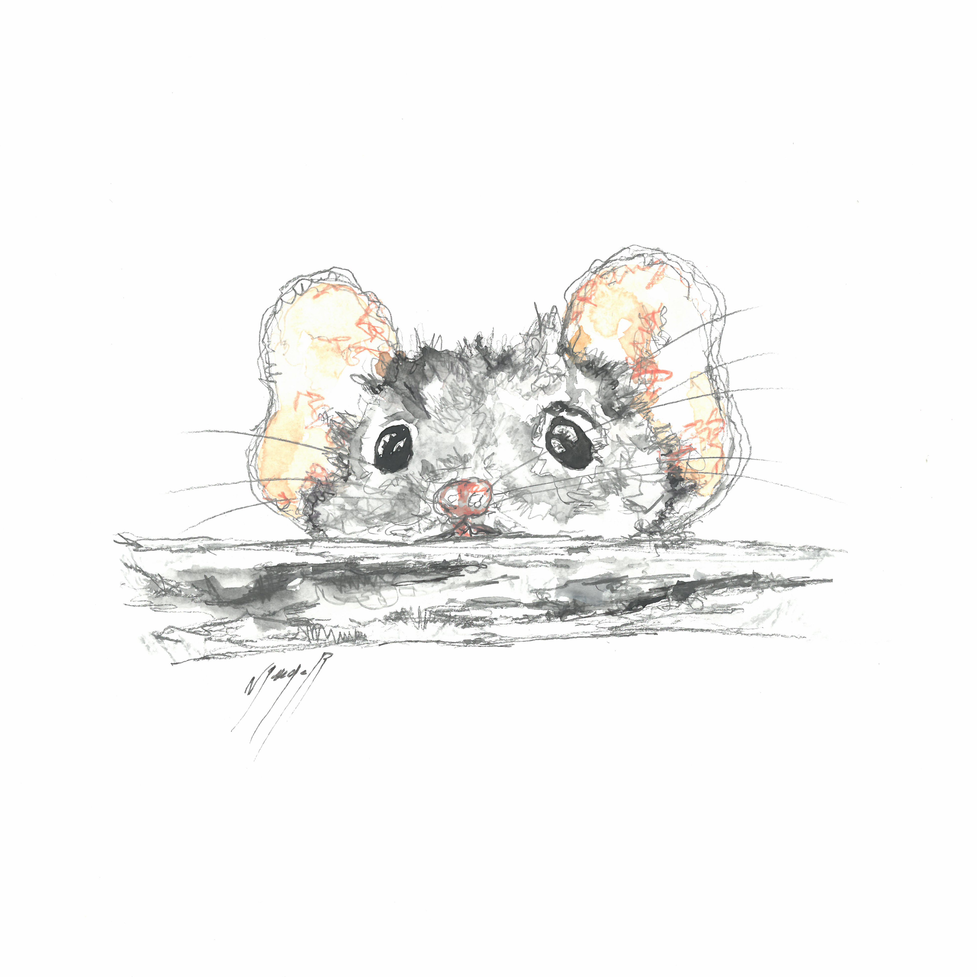 Noël Granger, La souris rigolote ! Noël Granger, La souris rigolote !
