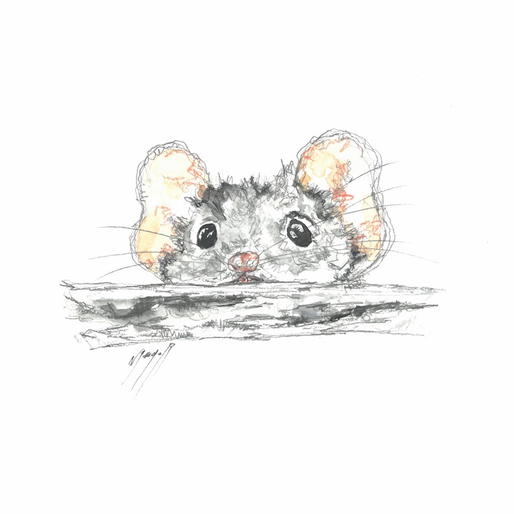 Noël Granger, La souris rigolote !, Dessin sur papier aquarelle