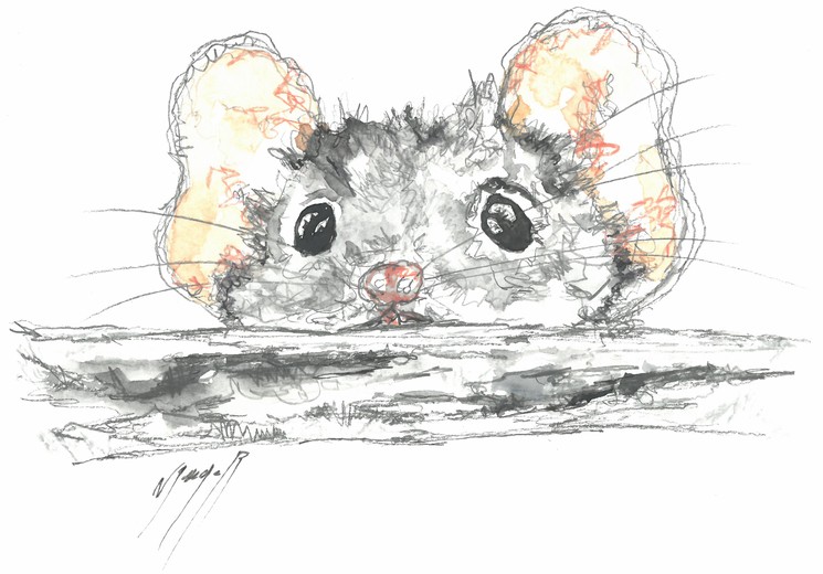Noël Granger, La souris rigolote !, Dessin sur papier aquarelle