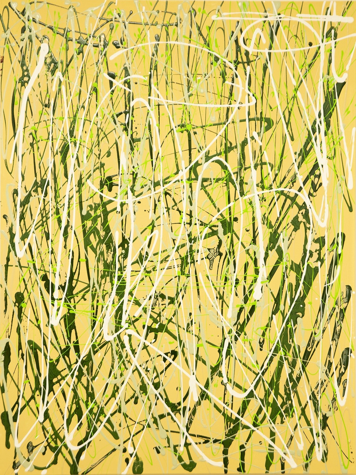 Noa Grayevsky, N11 Noa Grayevsky, N11