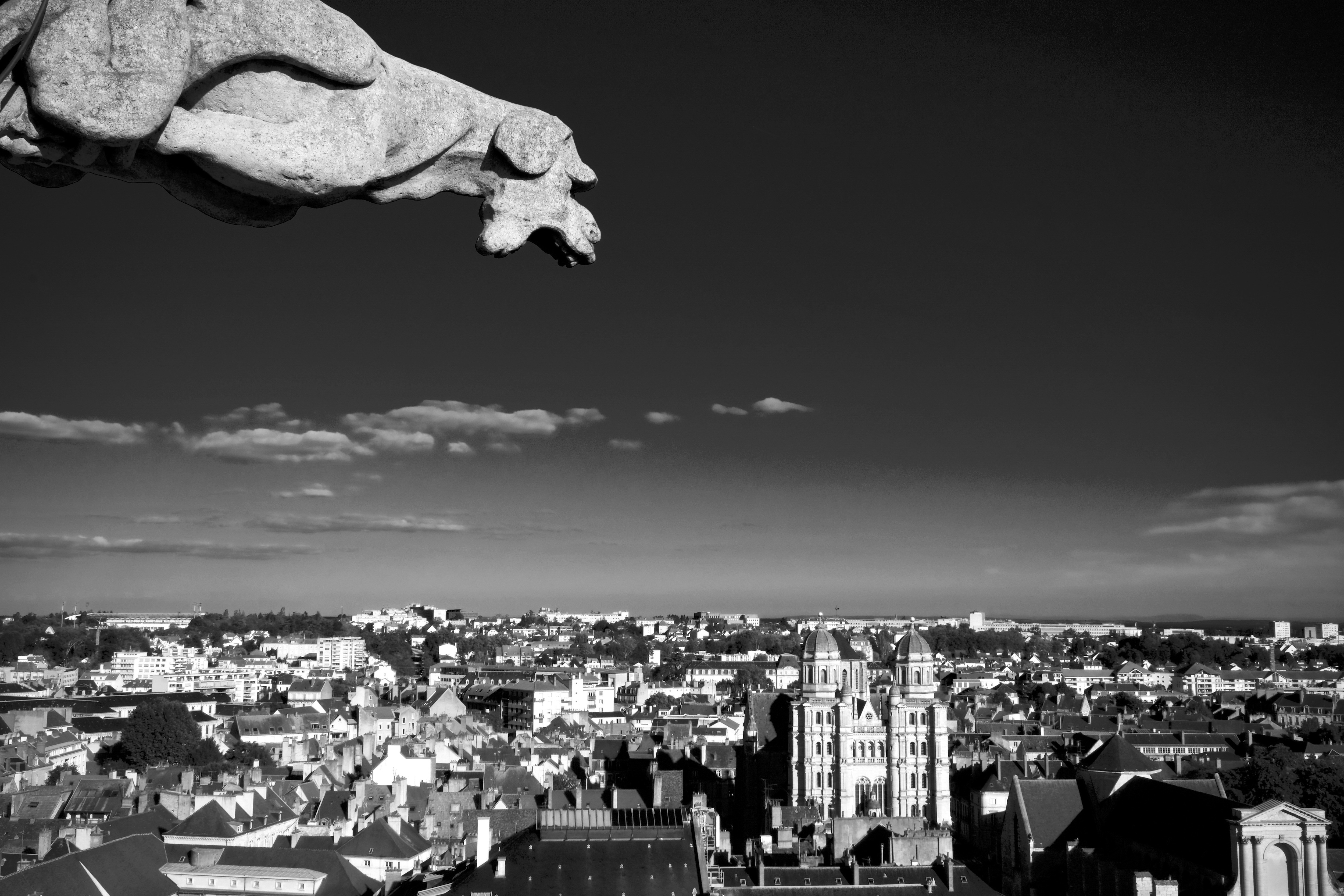 Fabien Olart, Dijon, the gargoyle Fabien Olart, Dijon, the gargoyle