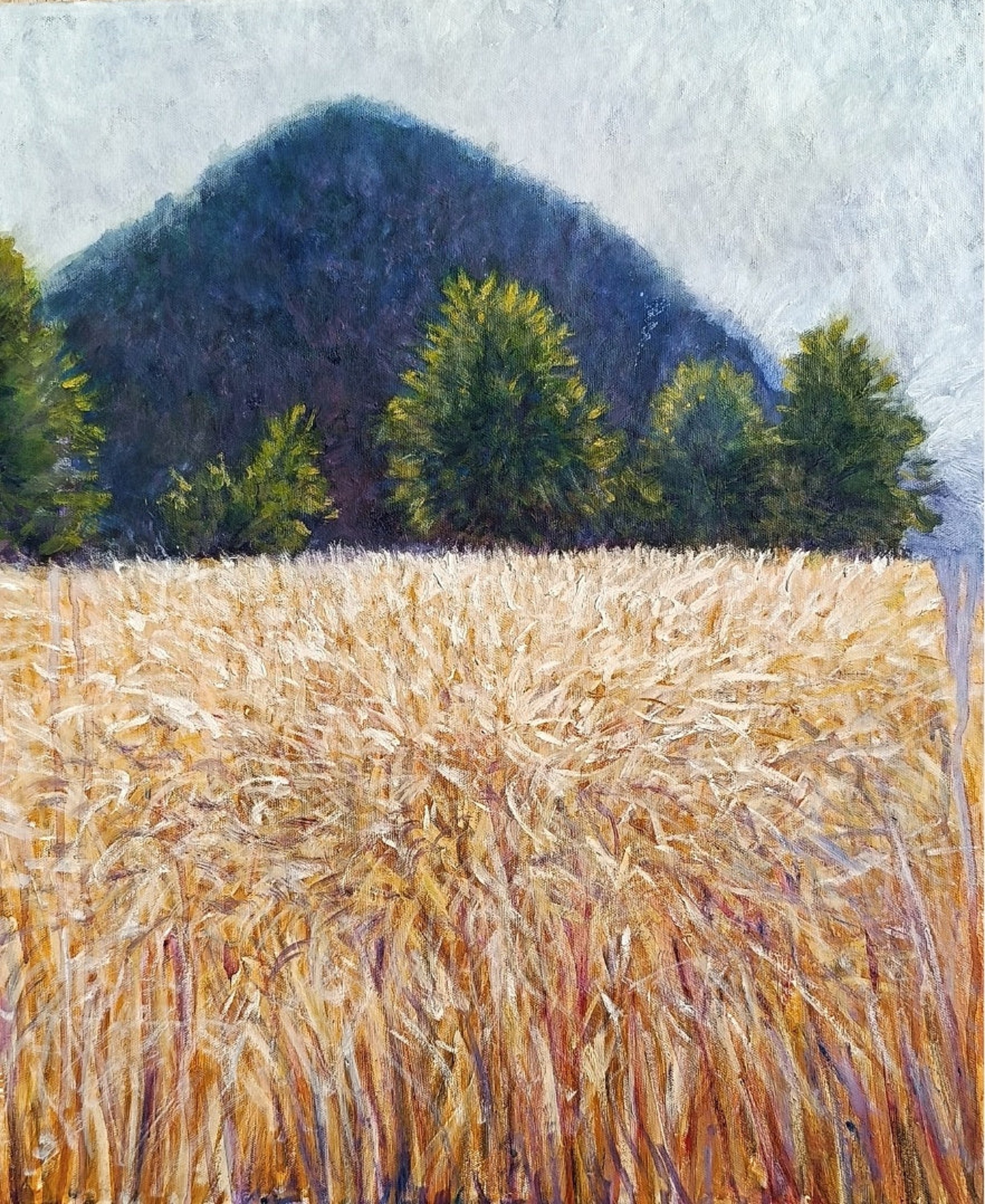 Mauro Tròlese, Campo di grano in collina Mauro Tròlese, Campo di grano in collina