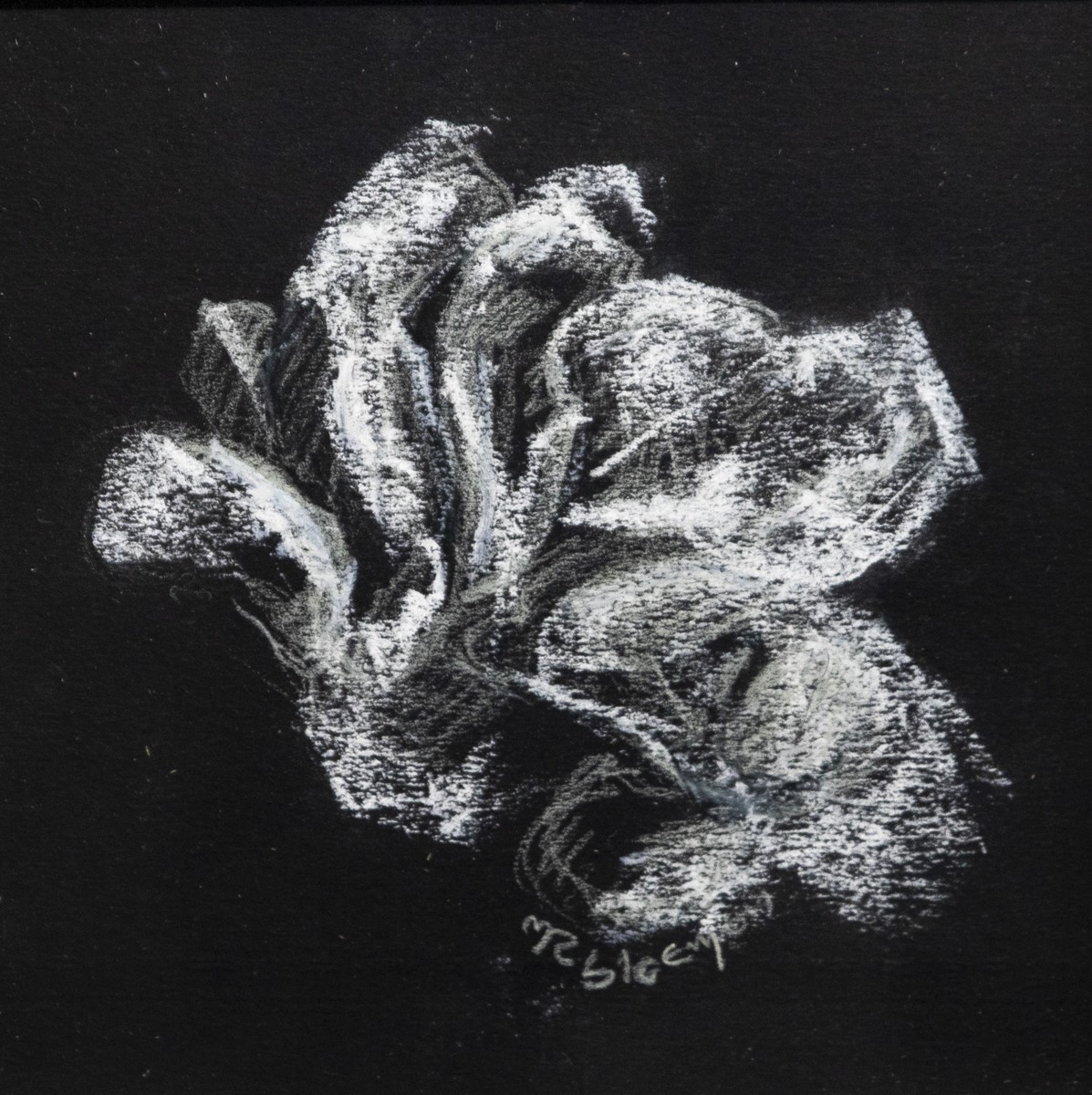 Marie-T Bloemen, Fragment de la nature de la forêt Vosgienne - série éclatés III Marie-T Bloemen, Fragment de la nature de la forêt Vosgienne - série éclatés III