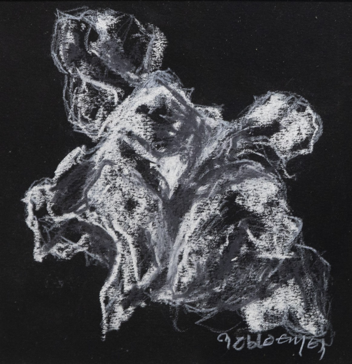 Marie-T Bloemen, Fragment de la nature de la forêt Vosgienne - série éclatés II Marie-T Bloemen, Fragment de la nature de la forêt Vosgienne - série éclatés II