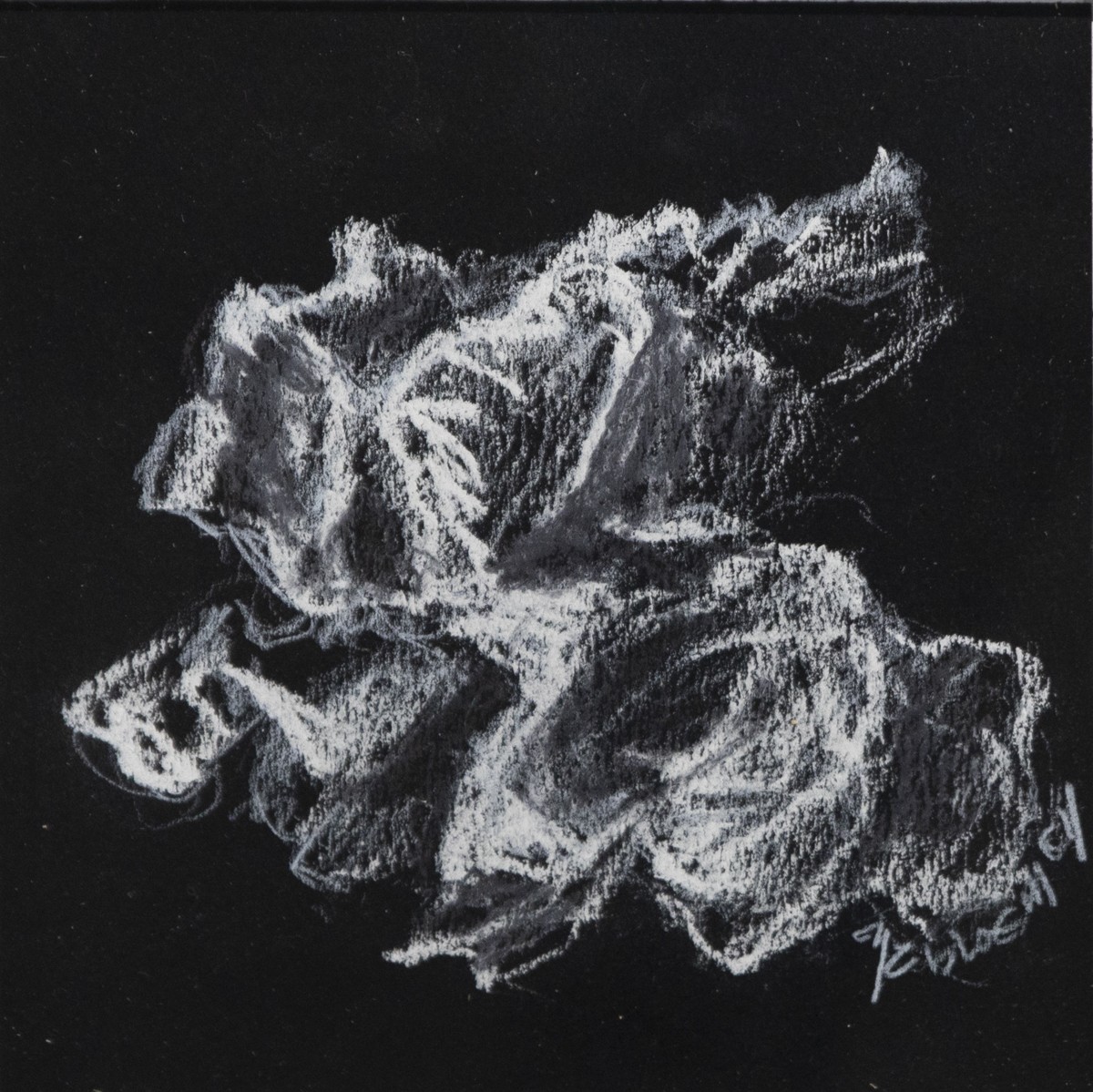 Marie-T Bloemen, Fragment de la nature de la forêt Vosgienne - série éclatés V Marie-T Bloemen, Fragment de la nature de la forêt Vosgienne - série éclatés V
