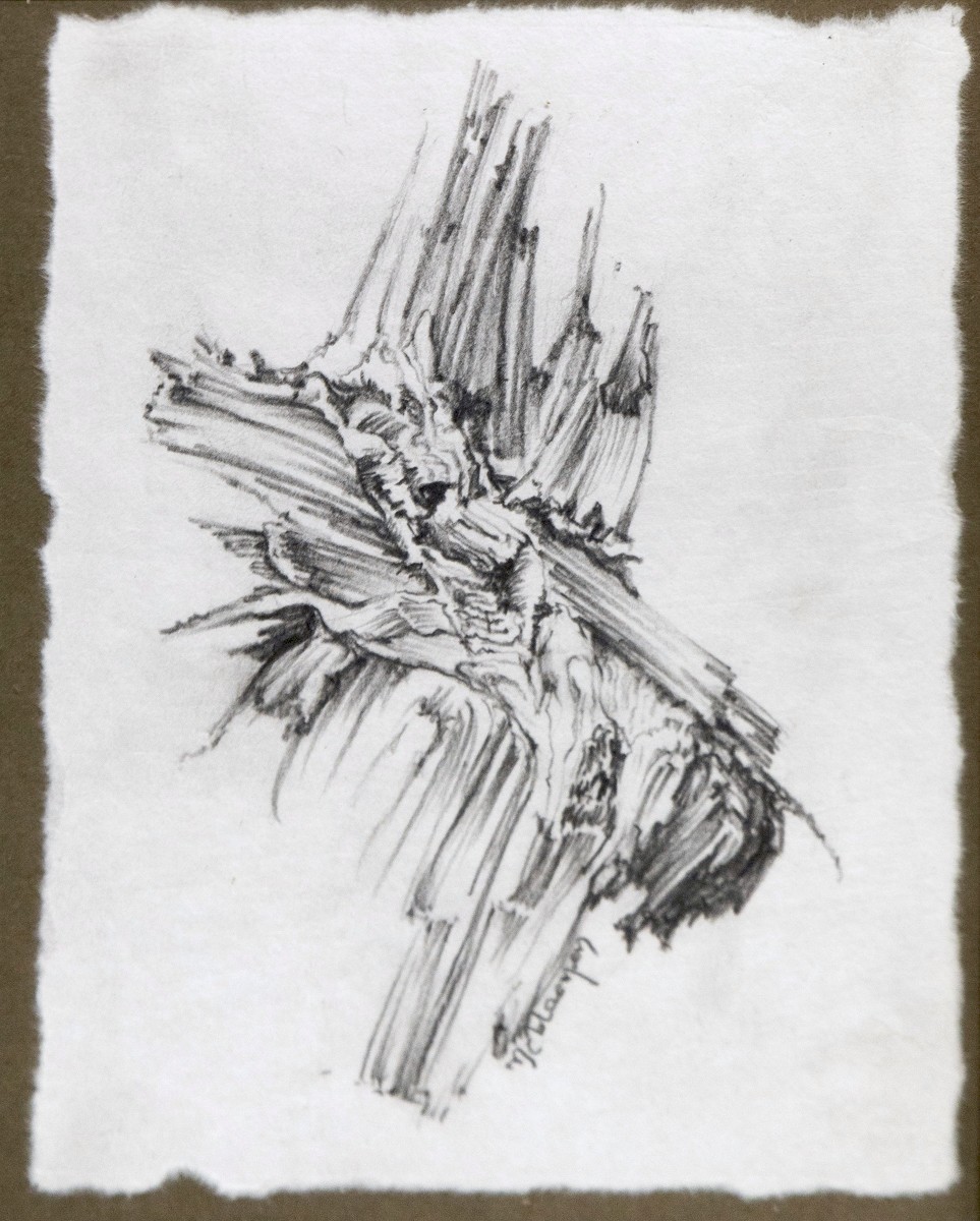 Marie-T Bloemen, Fragment d'arbres de la forêt Vosgienne - série du Bois au Bois IV Marie-T Bloemen, Fragment d'arbres de la forêt Vosgienne - série du Bois au Bois IV