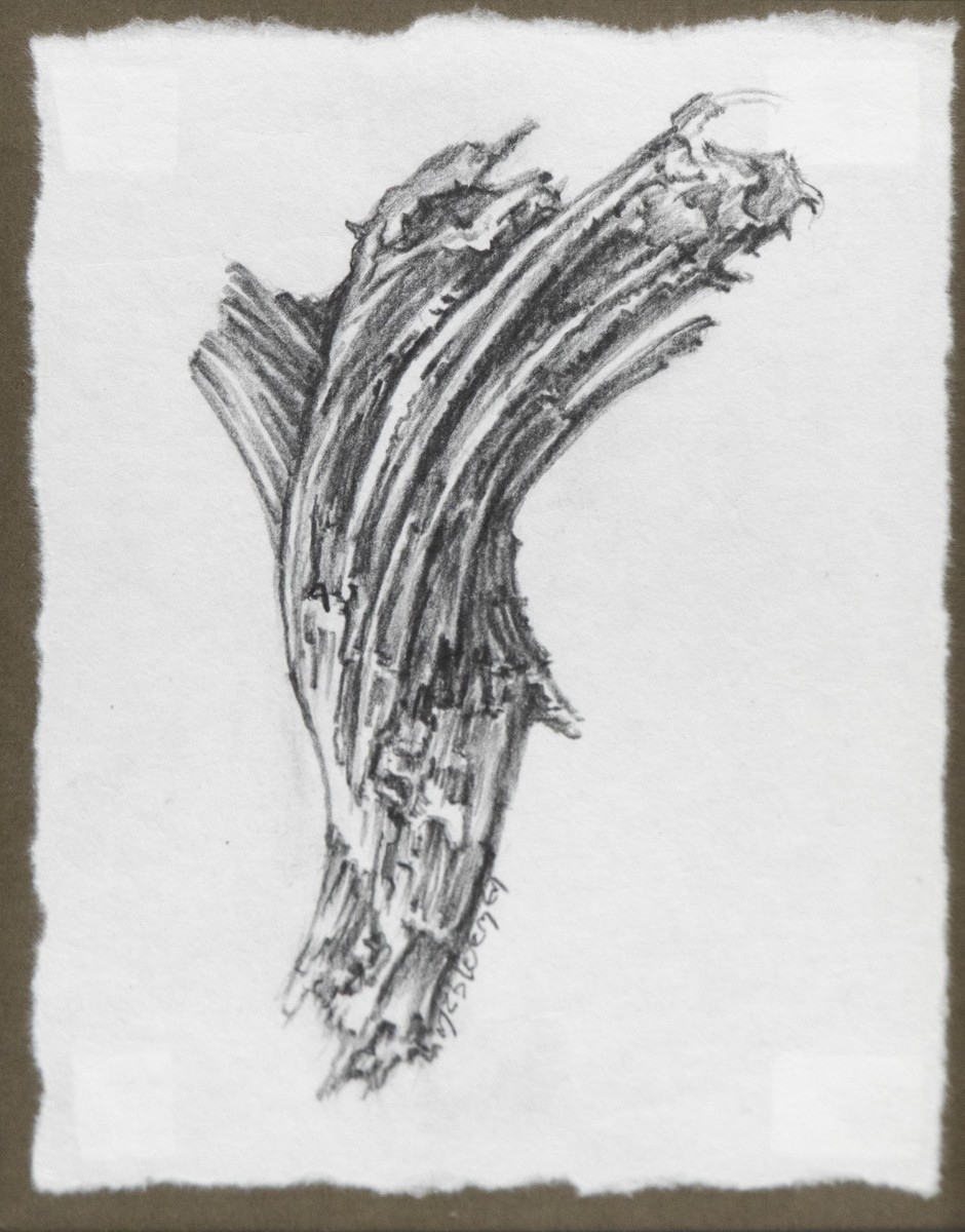 Marie-T Bloemen, Fragment d'arbres de la forêt Vosgienne - série du Bois au Bois II Marie-T Bloemen, Fragment d'arbres de la forêt Vosgienne - série du Bois au Bois II