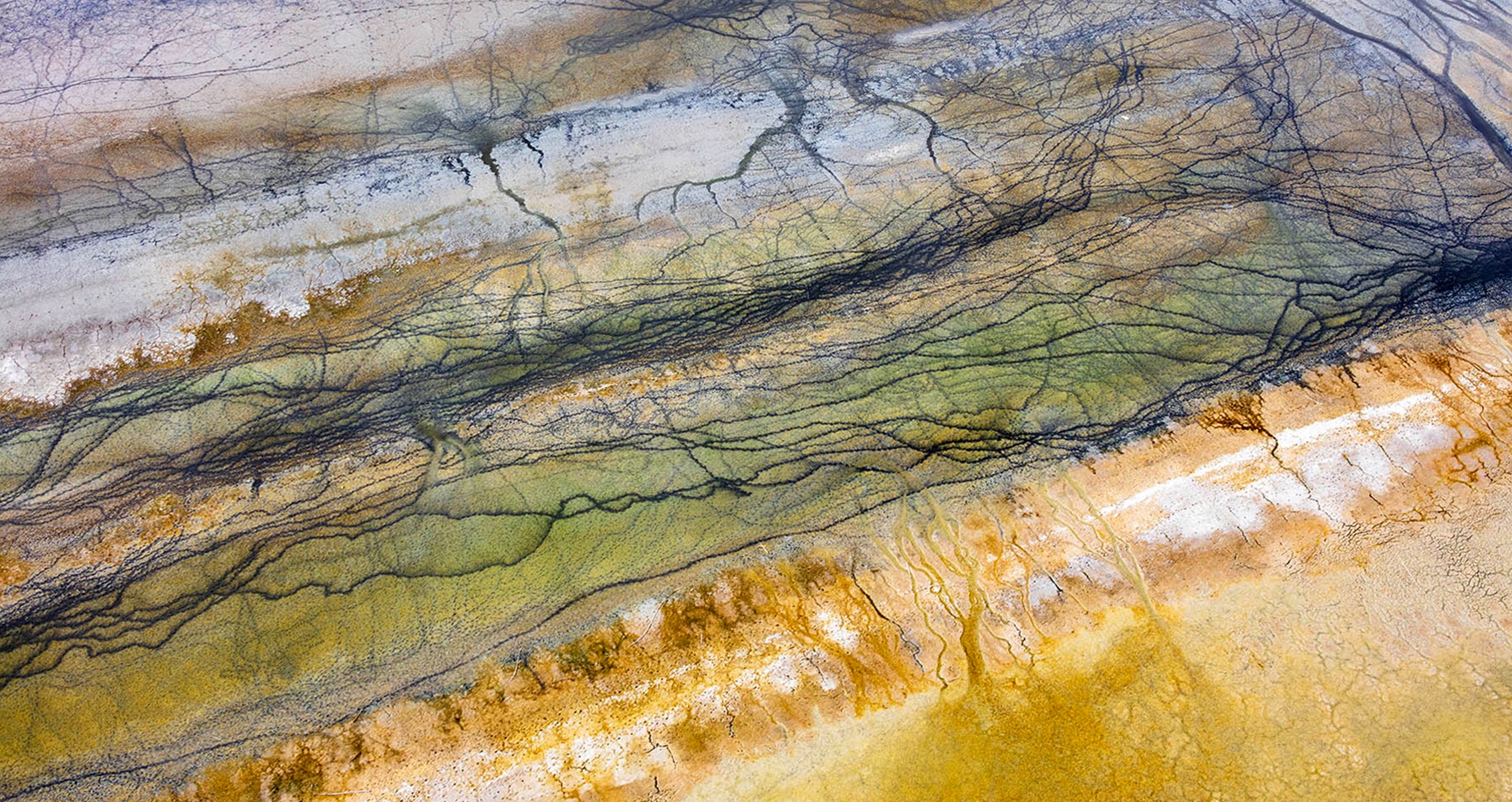 Jill Peters, Untitled 2164 Jill Peters, Untitled 2164
