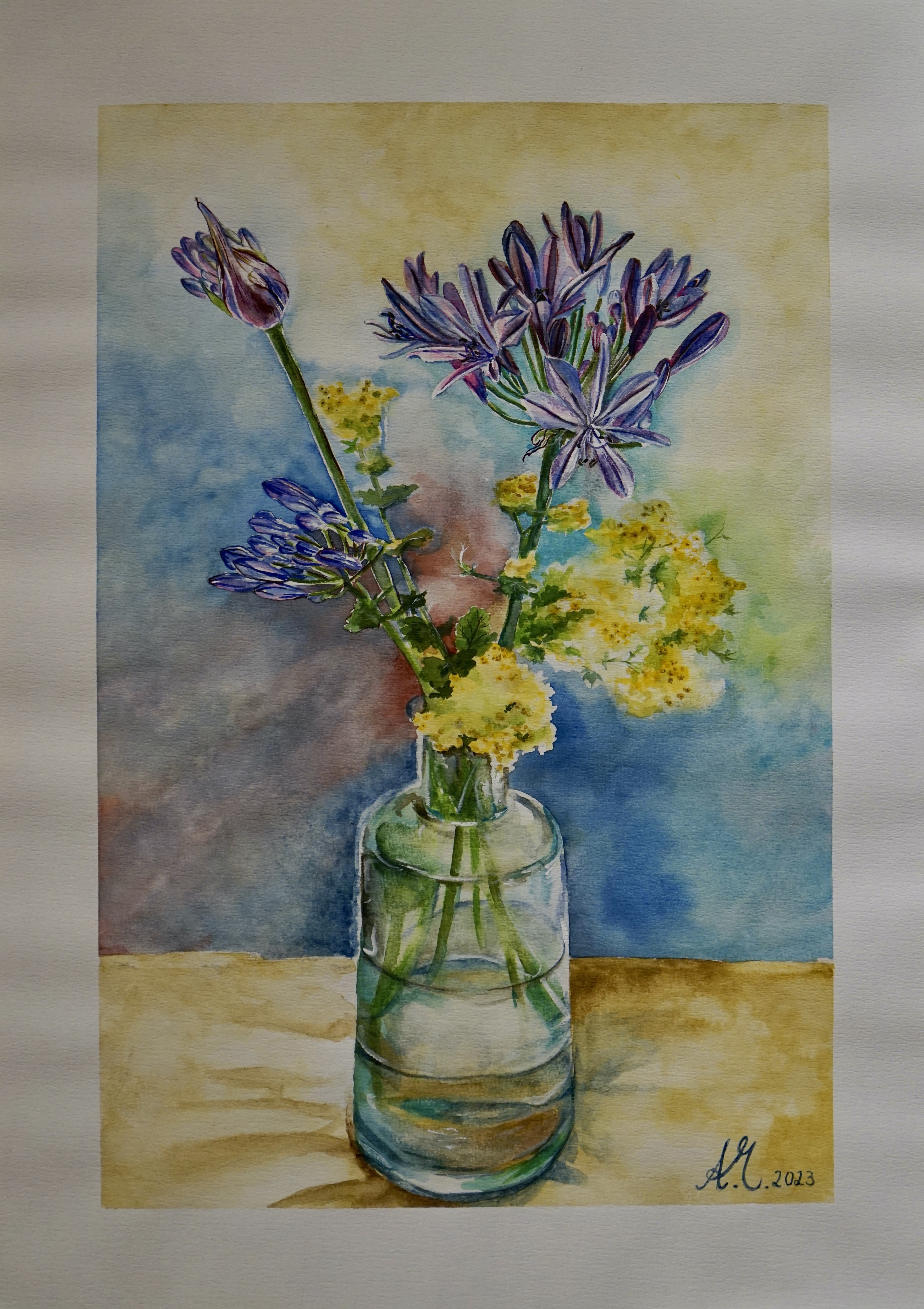 Annabell Mozer, African lily Annabell Mozer, African lily